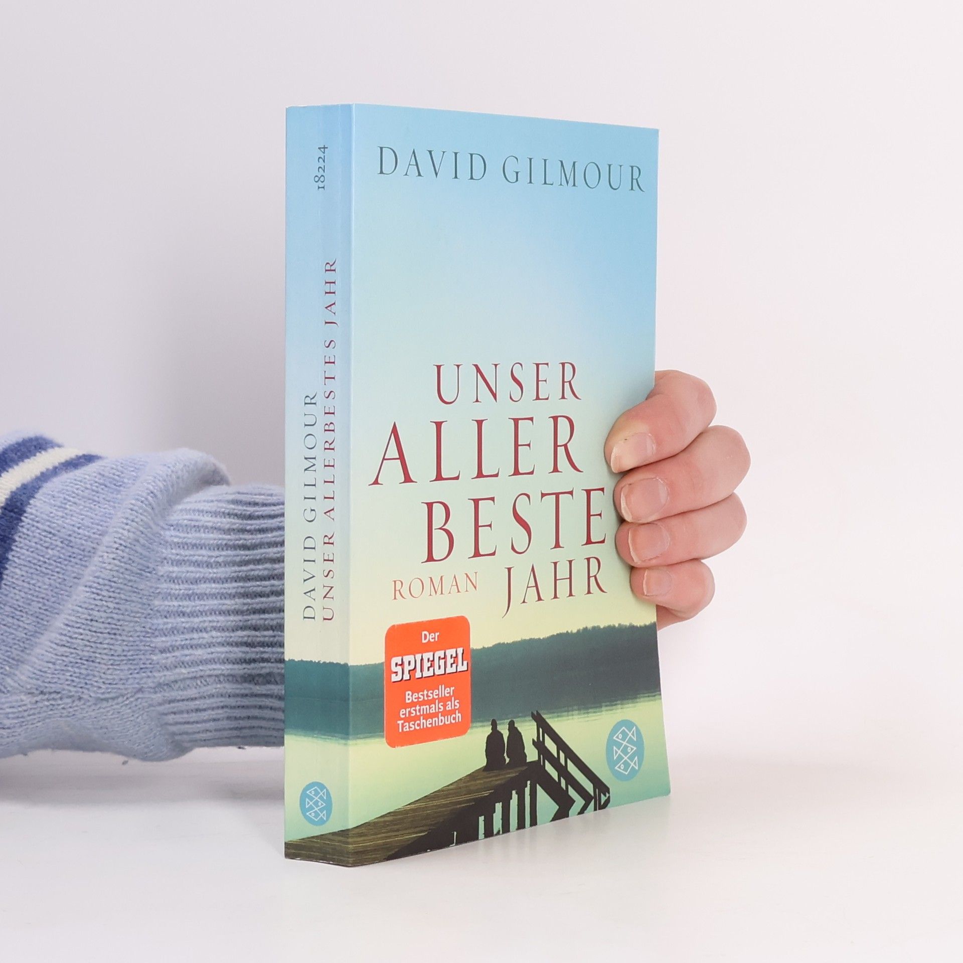 David Gilmour Unser allerbestes Jahr