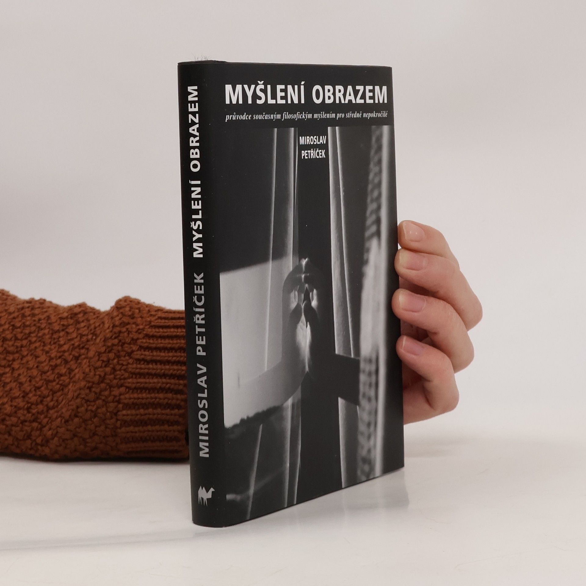 Myšlení obrazem: Průvodce současným filosofickým myšlením pro středně nepokročilé