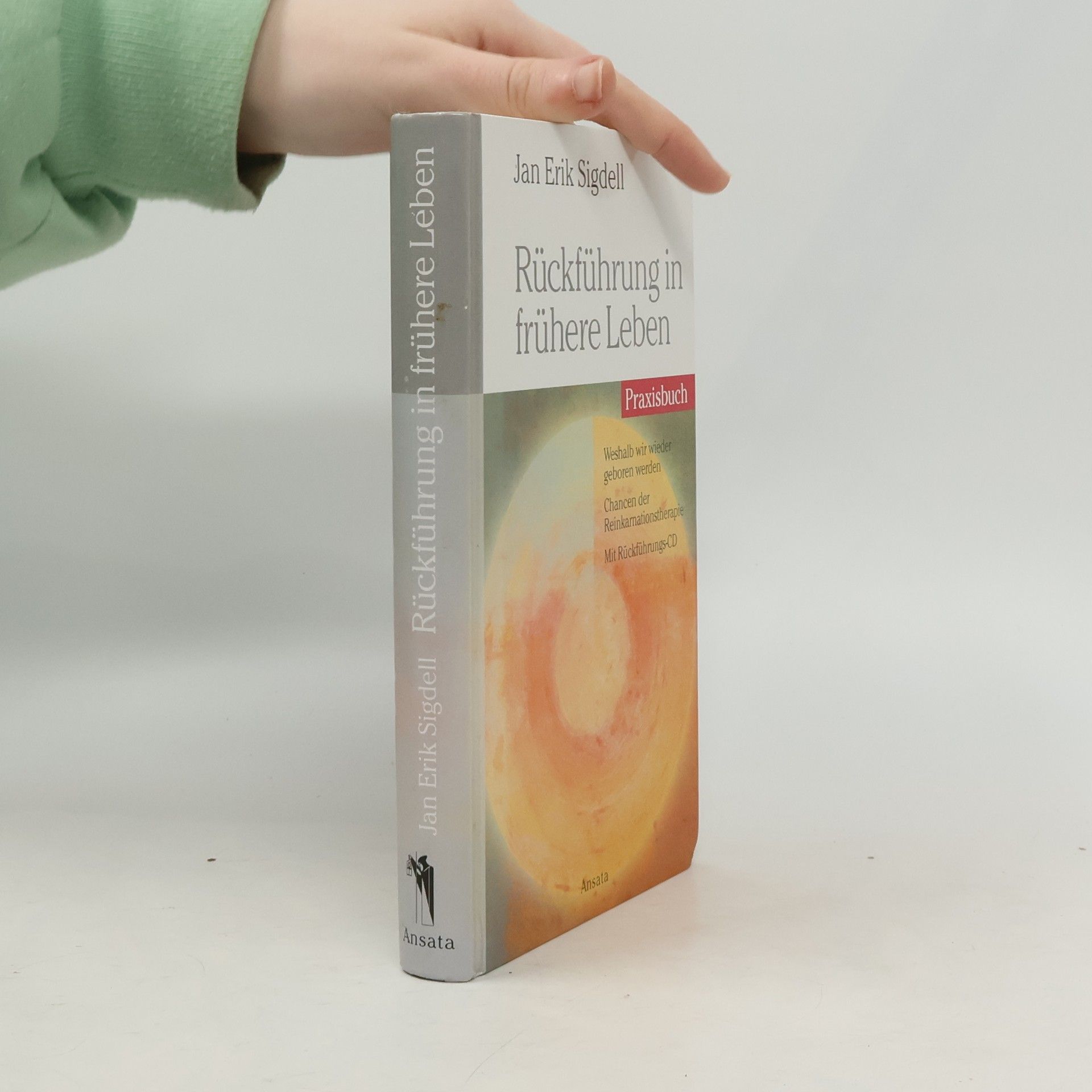 Kolektív autorov Rückführung in frühere Leben