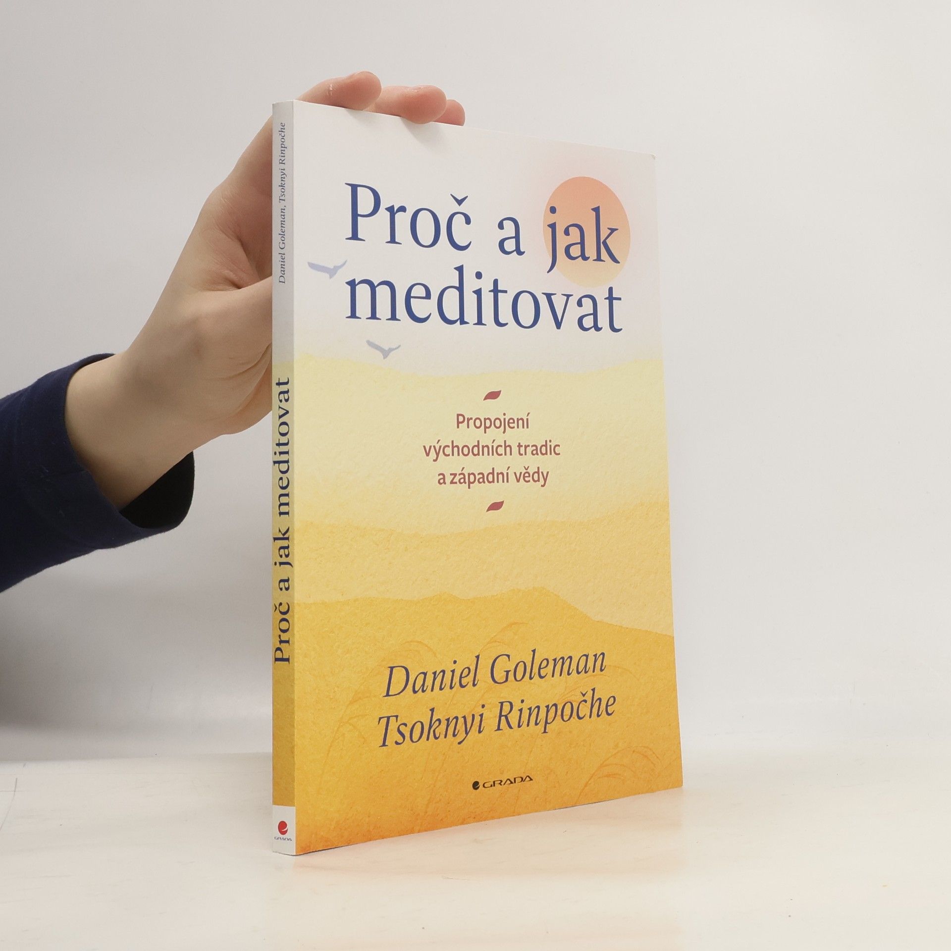Proč a jak meditovat : propojení východních tradic a západní vědy