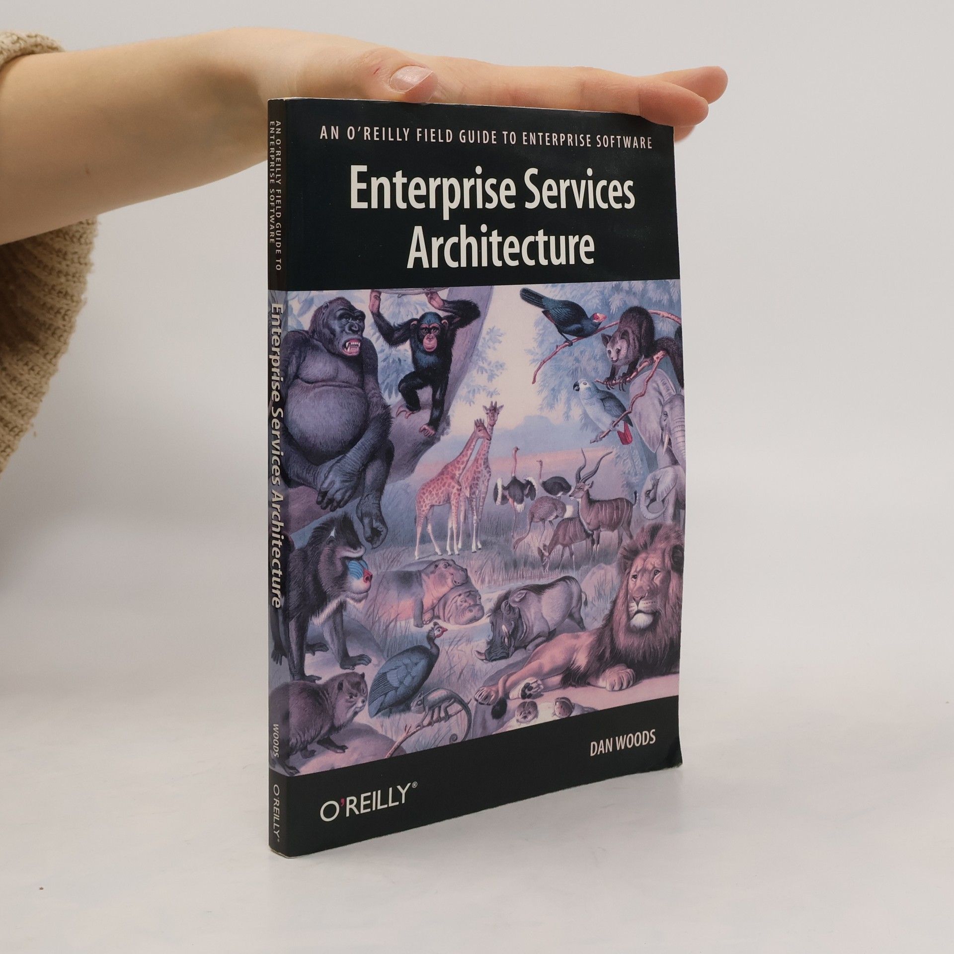 Dan Woods Enterprise Services Architecture