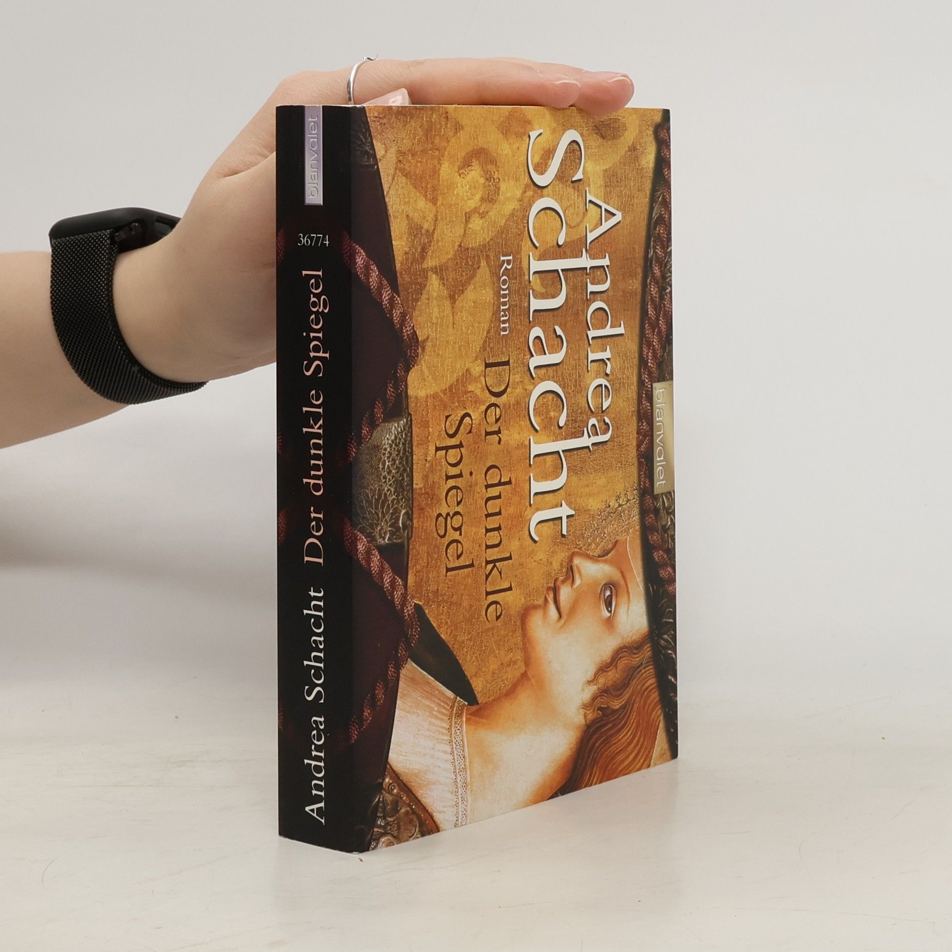 Andrea Schacht Der dunkle Spiegel