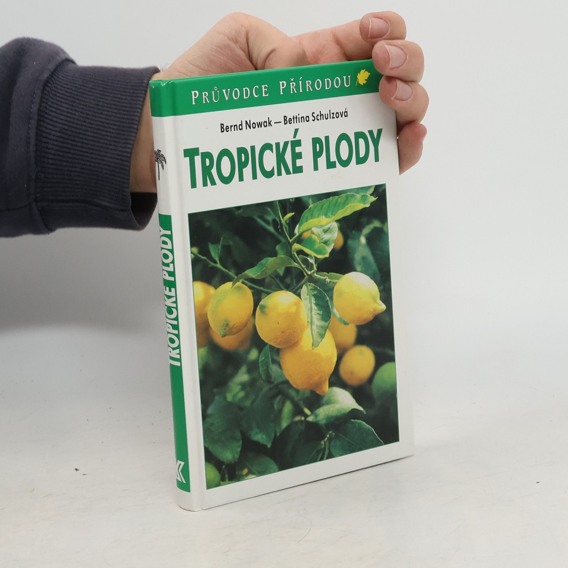 Tropické plody