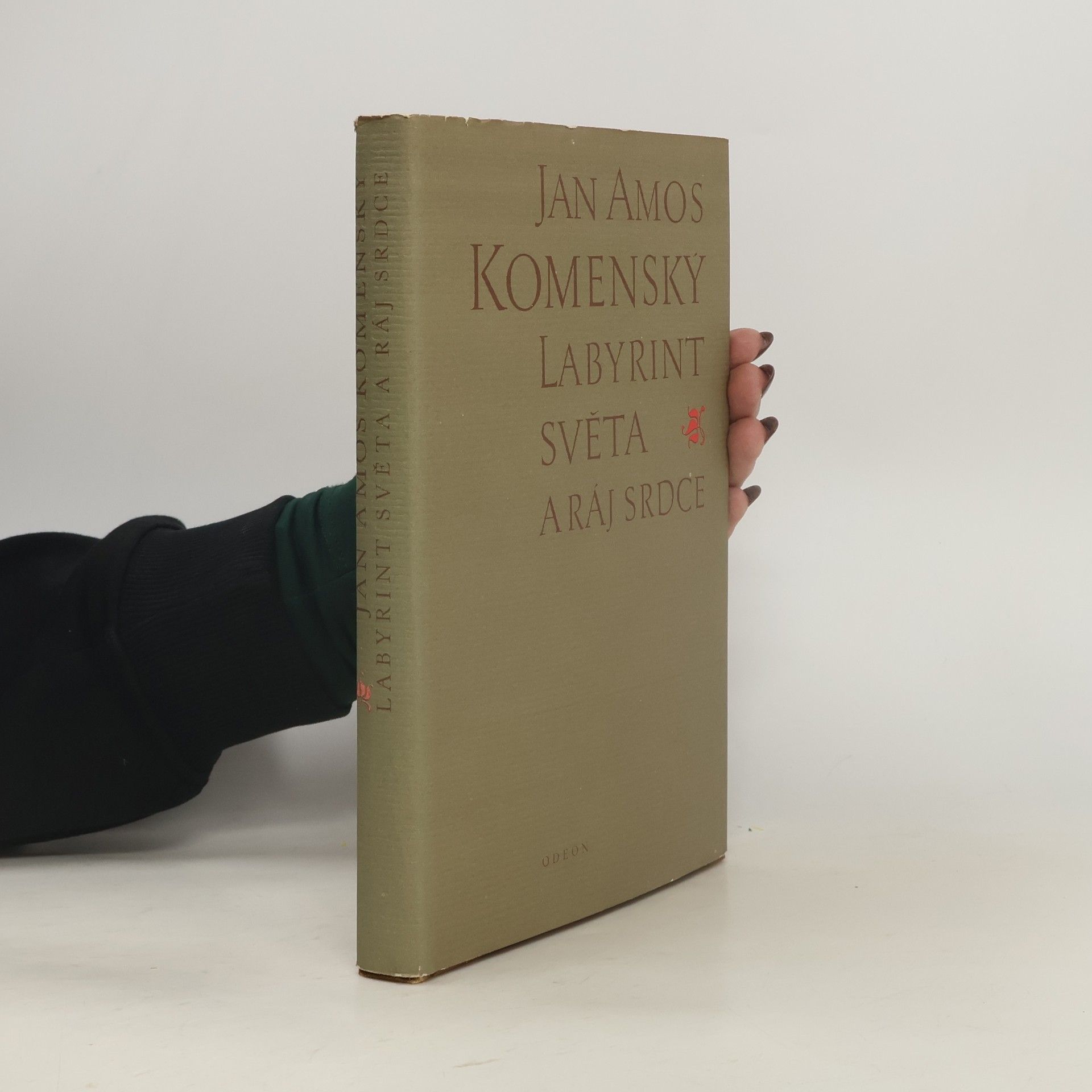 Jan Amos Komenský Labyrint světa a ráj srdce