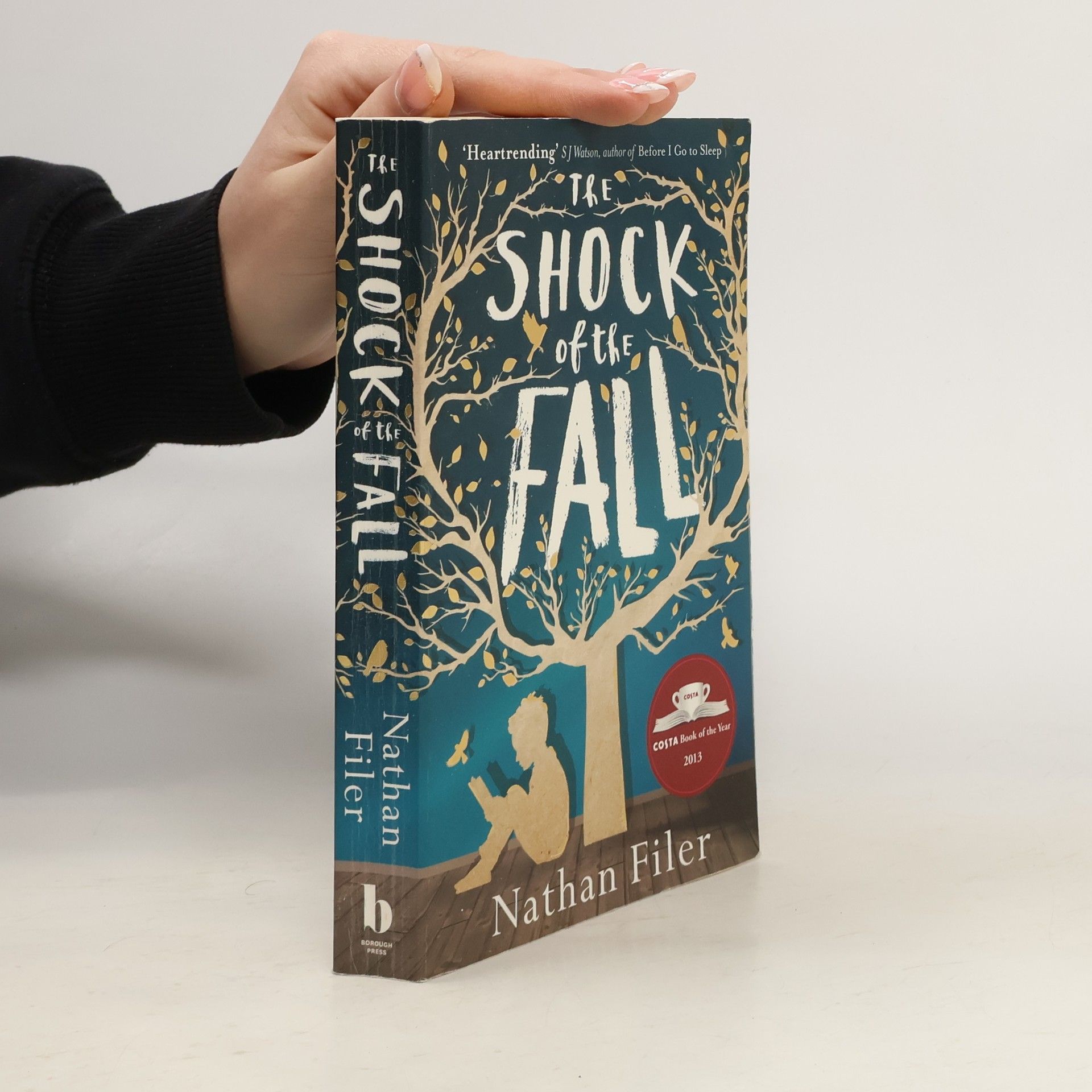 The shock of the fall