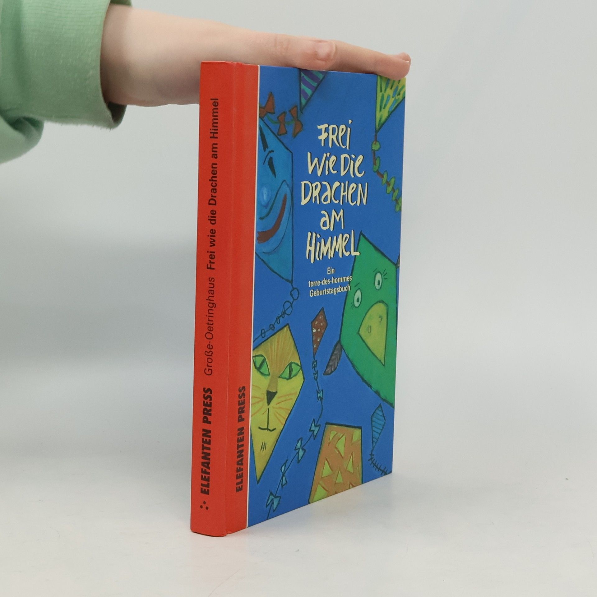 Frei wie die Drachen am Himmel