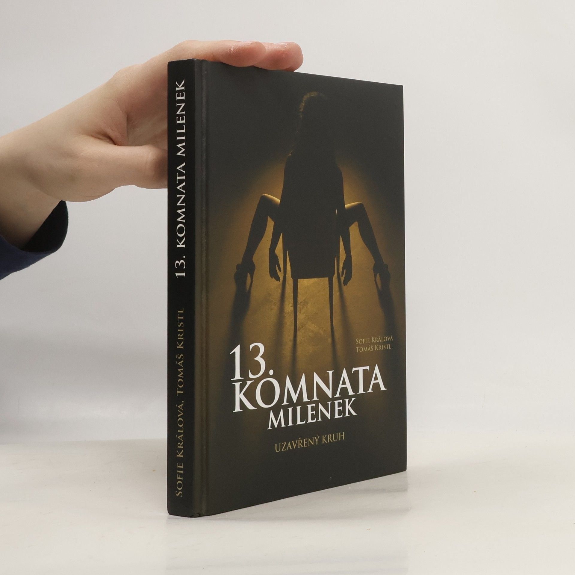 13. komnata milenek. Uzavřený kruh