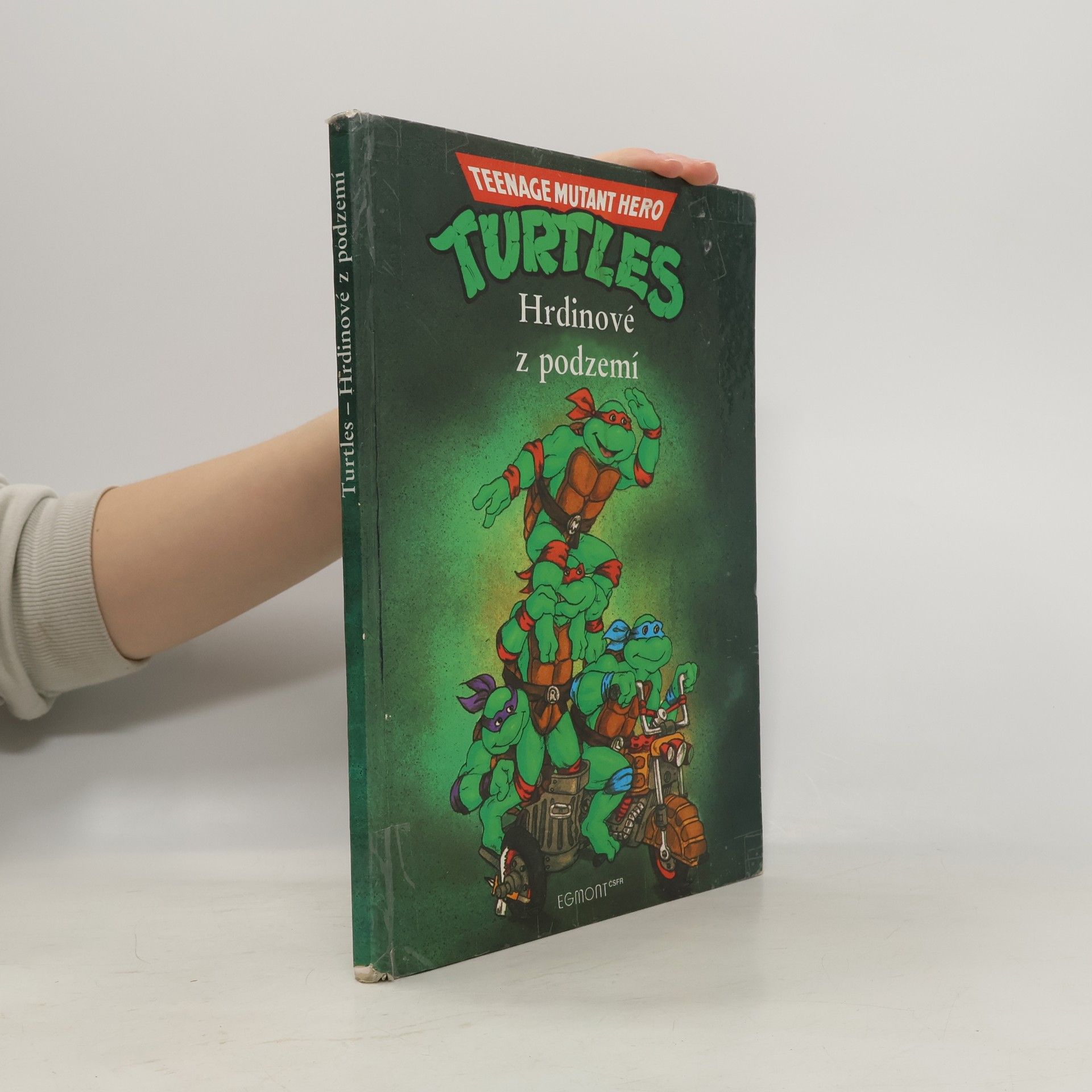 Maureen Spurgeon Teenage Mutant Ninja Turtles. Hrdinové z podzemí