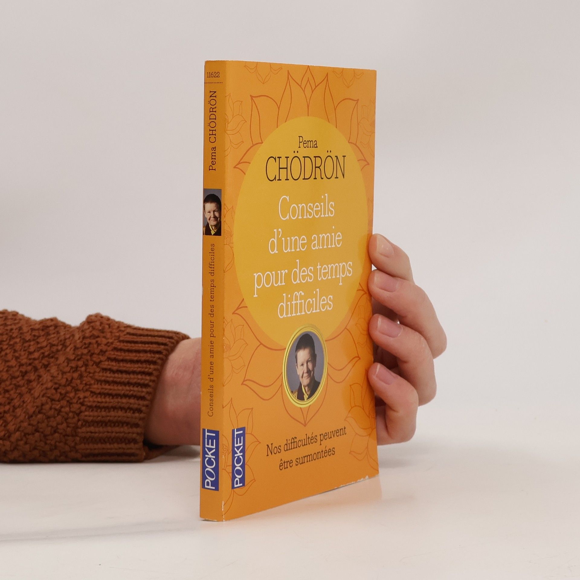 Pema Chödrön Conseils d'une amie pour des temps difficiles