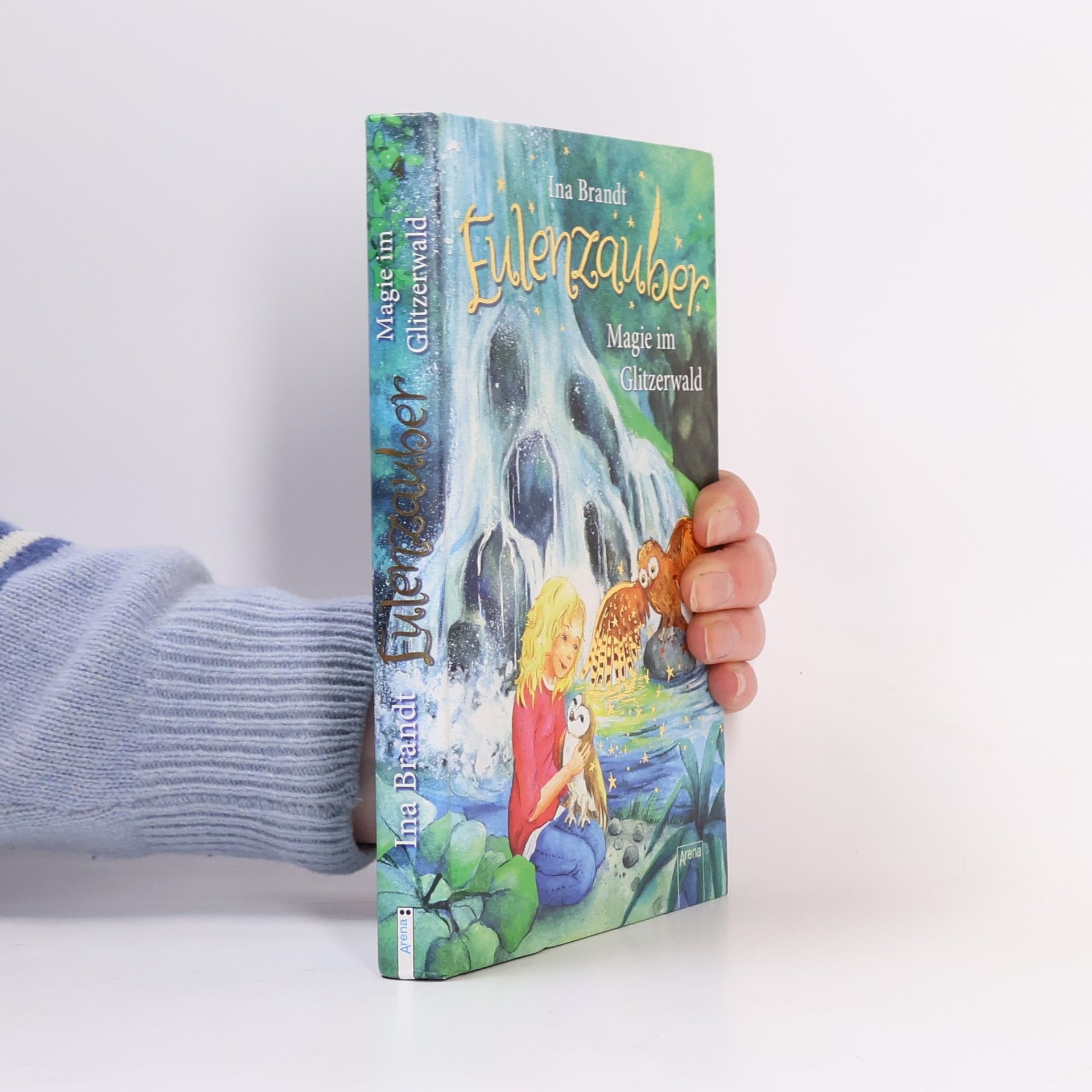 Ina Brandt Eulenzauber. Magie im Glitzerwald.