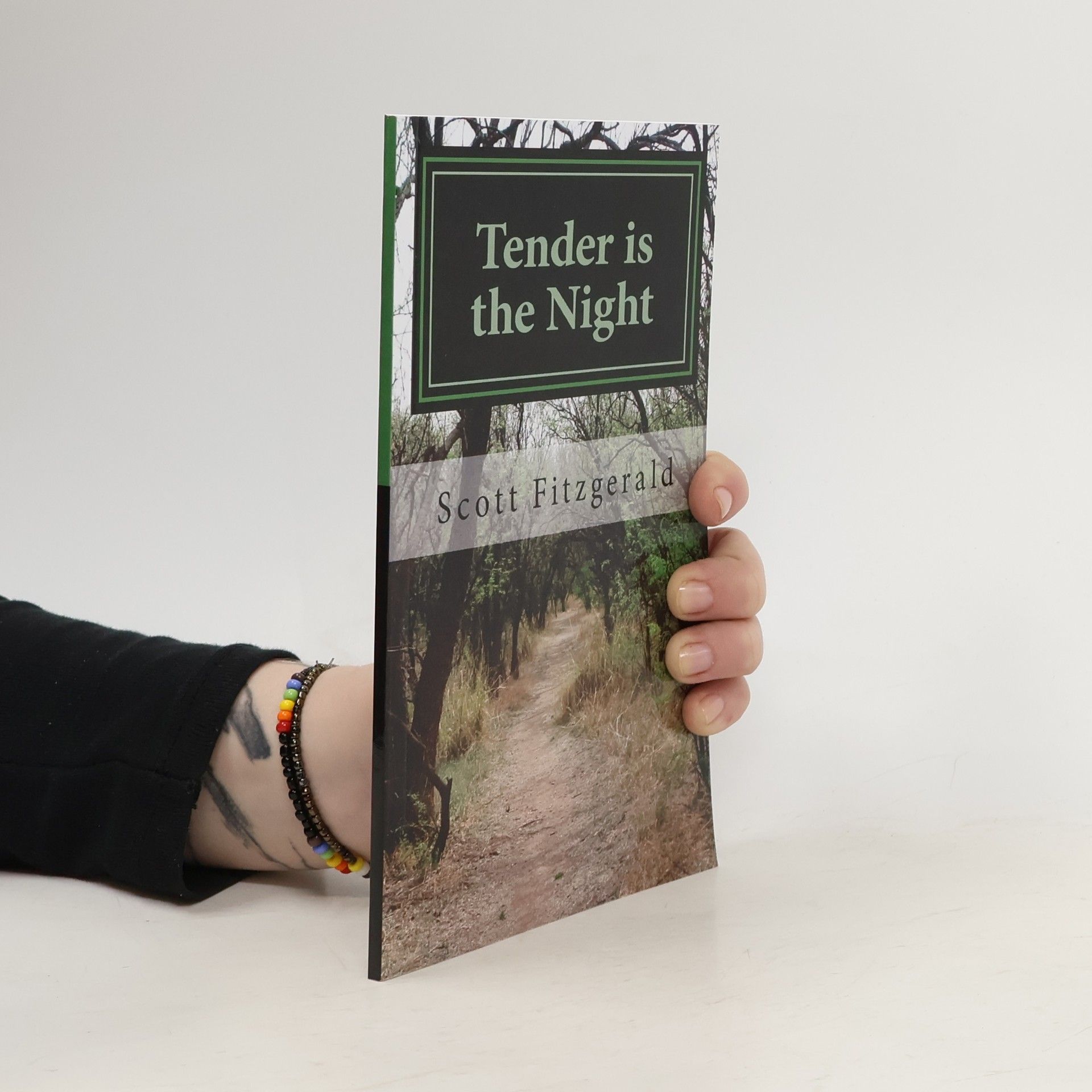 F. Scott Fitzgerald Tender is the Night