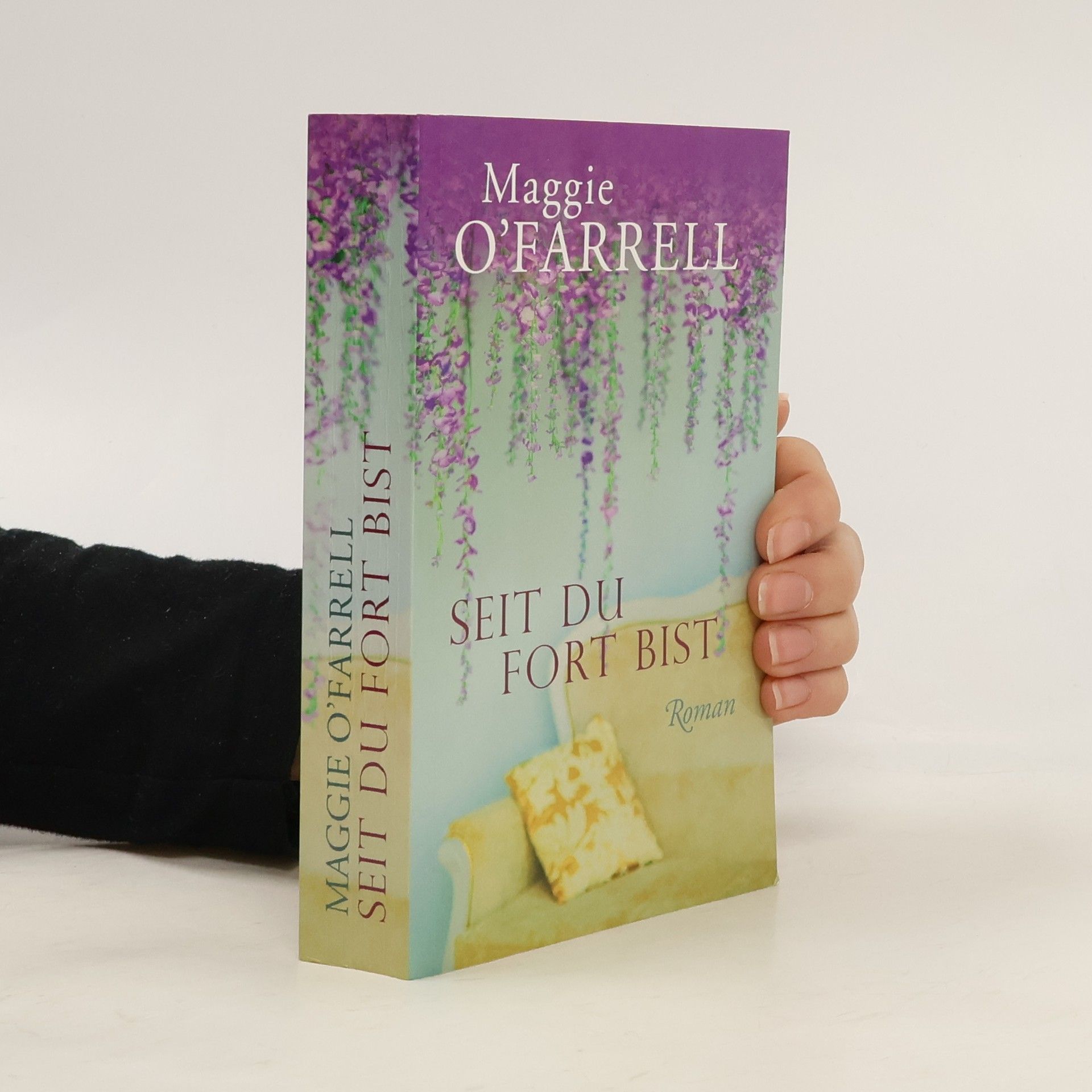 Maggie O´Farrell Seit du fort bist