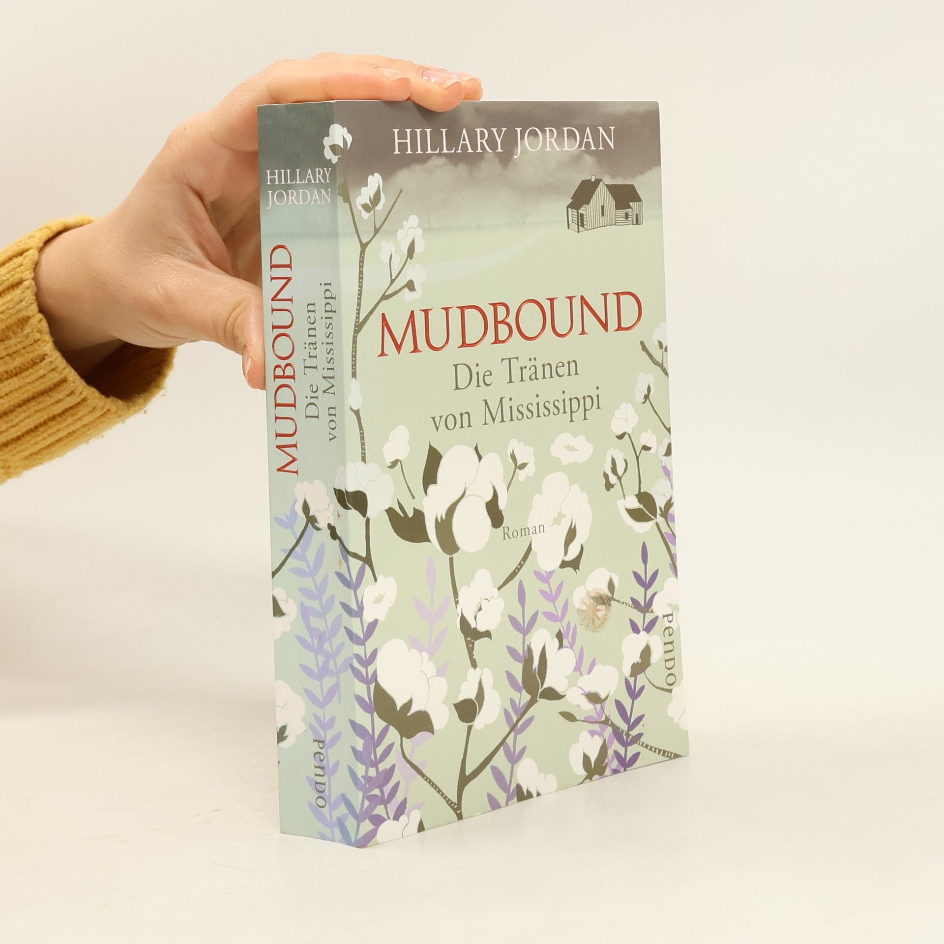 Mudbound - die Tränen von Mississippi