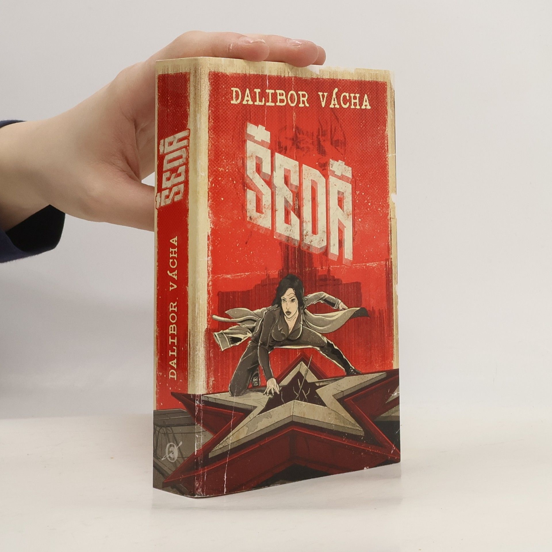 Dalibor Vácha Šedá