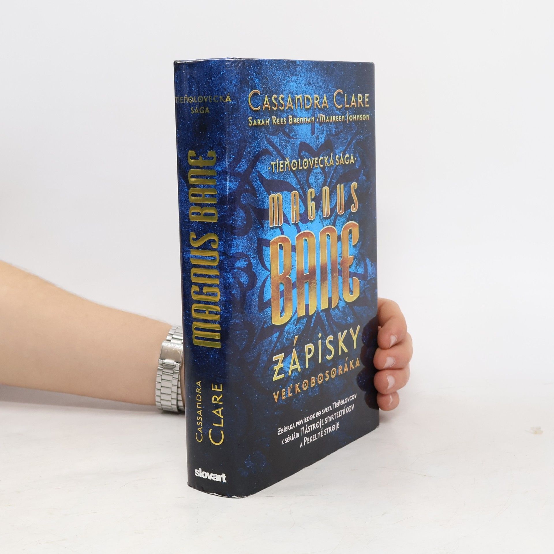 Cassandra Clare Magnus Bane - Zápisky veľkobosoráka