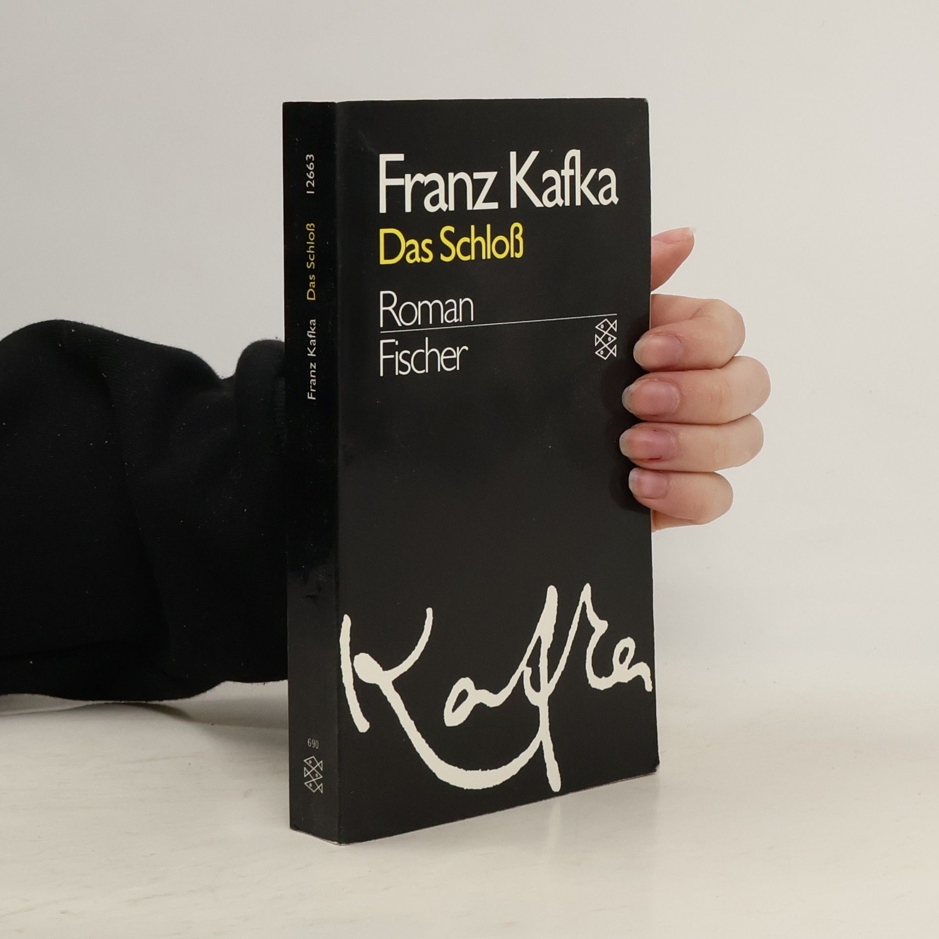 Franz Kafka Das Schloss : Roman