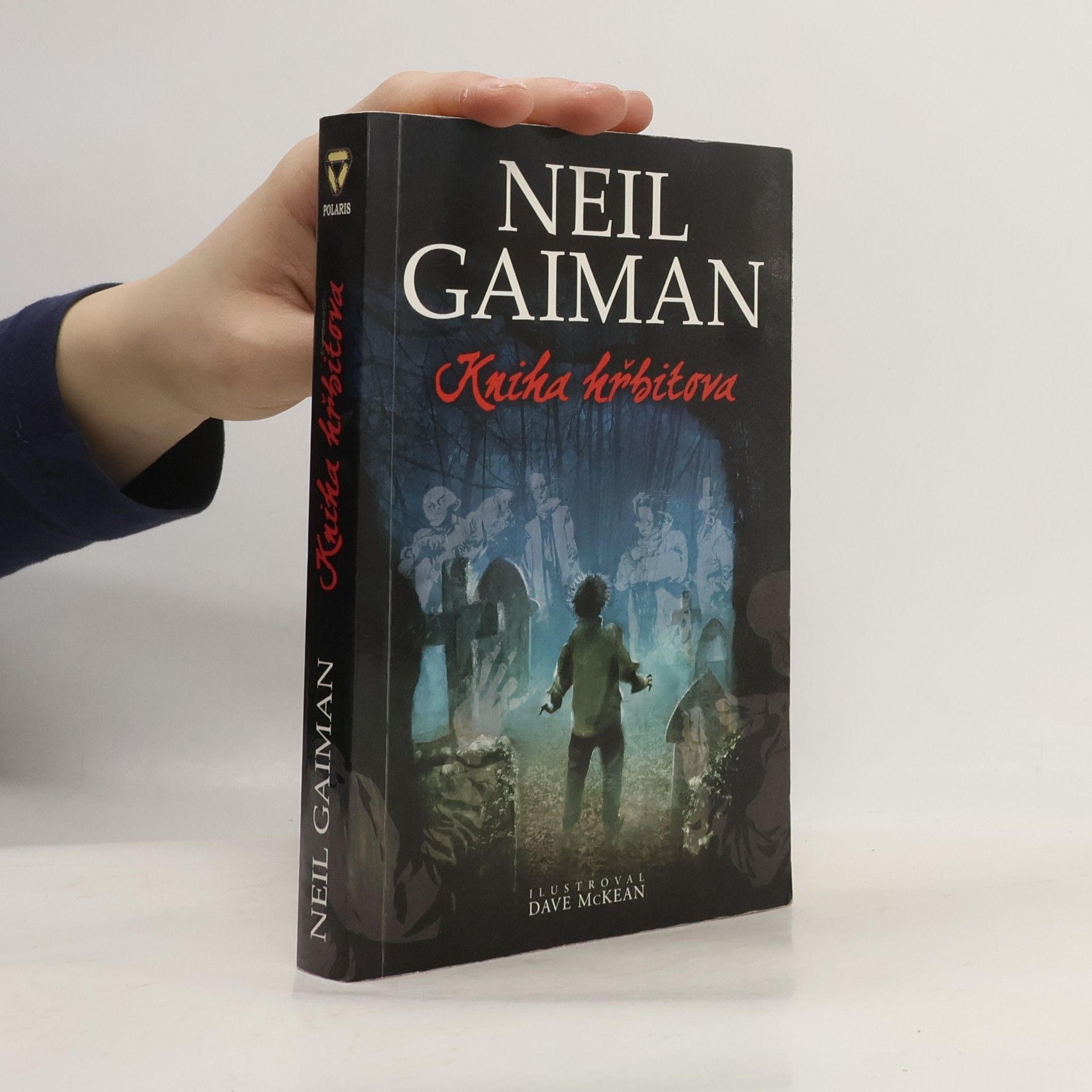 Neil Gaiman Kniha hřbitova