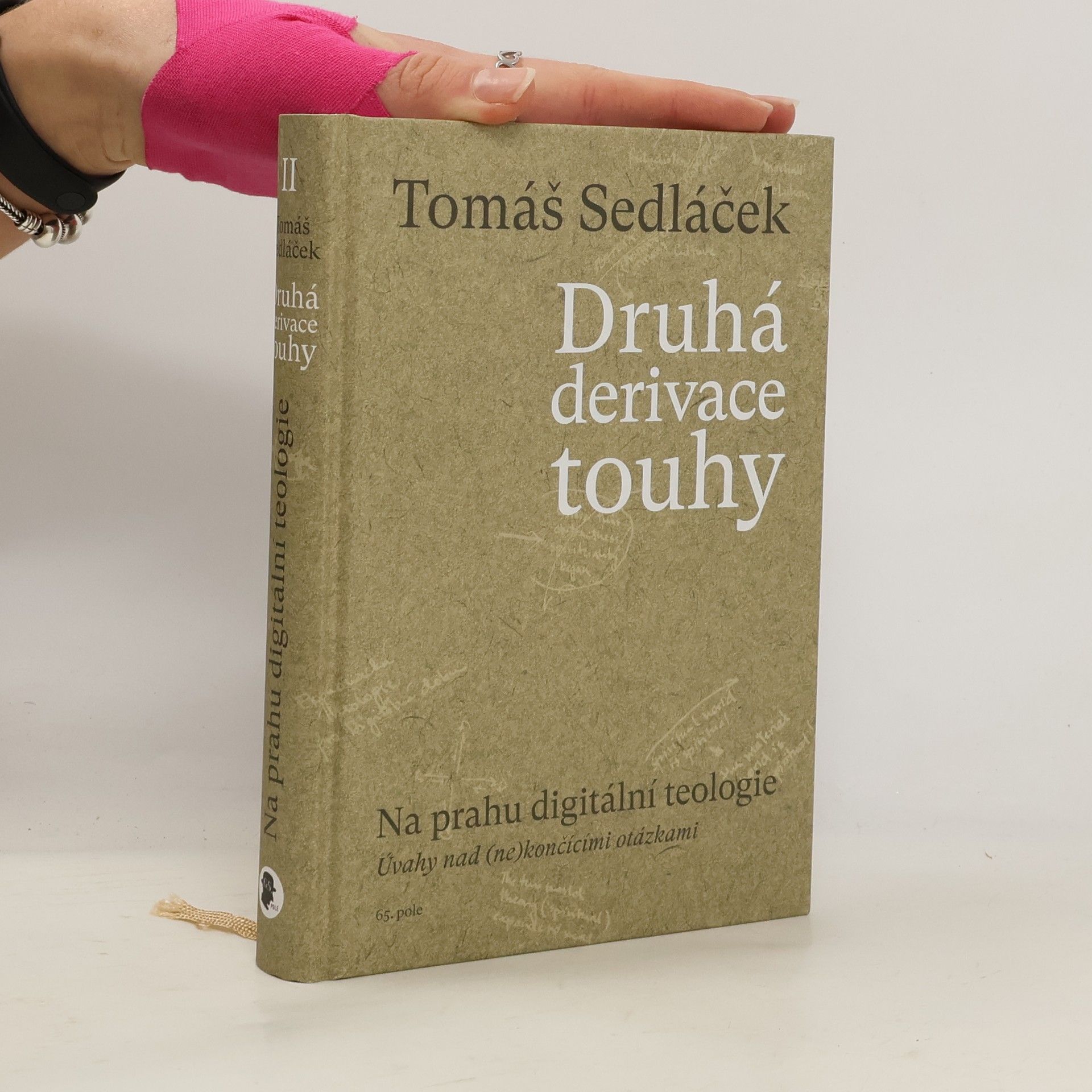 Druhá derivace touhy. Na prahu digitální teologie : úvahy nad (ne)končícími otázkami