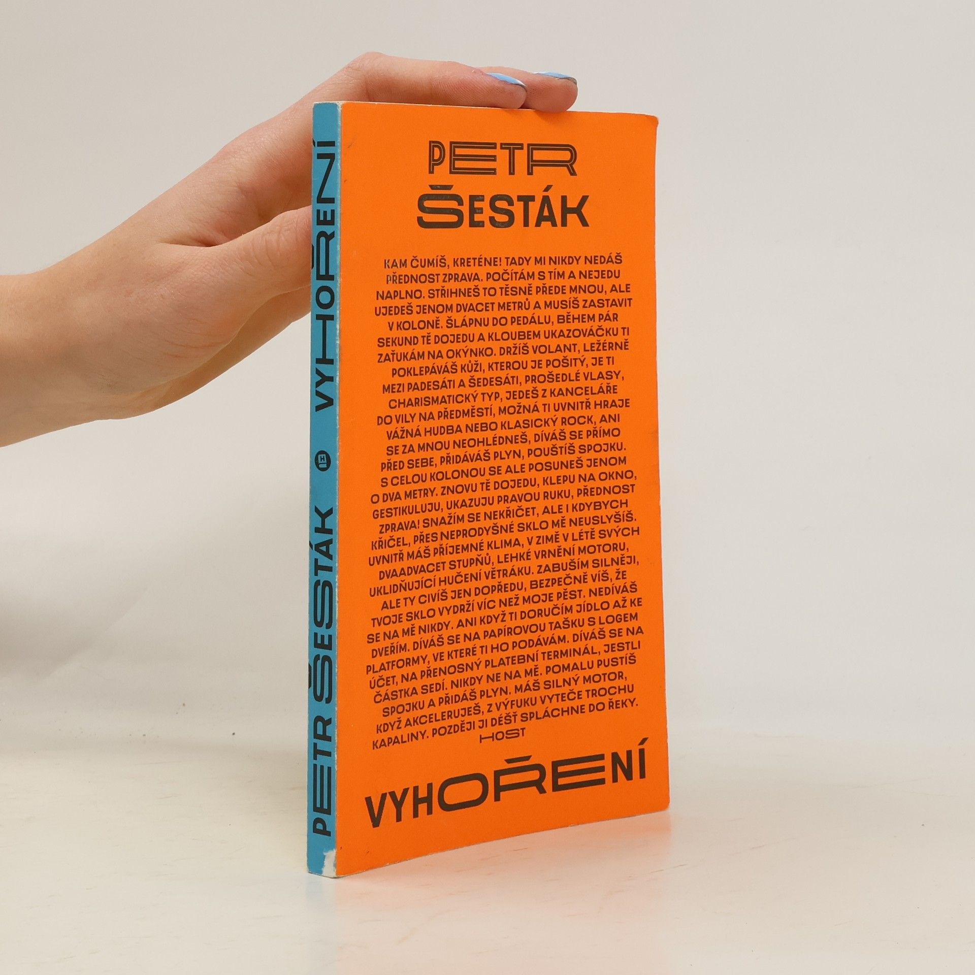 Petr Šesták Vyhoření