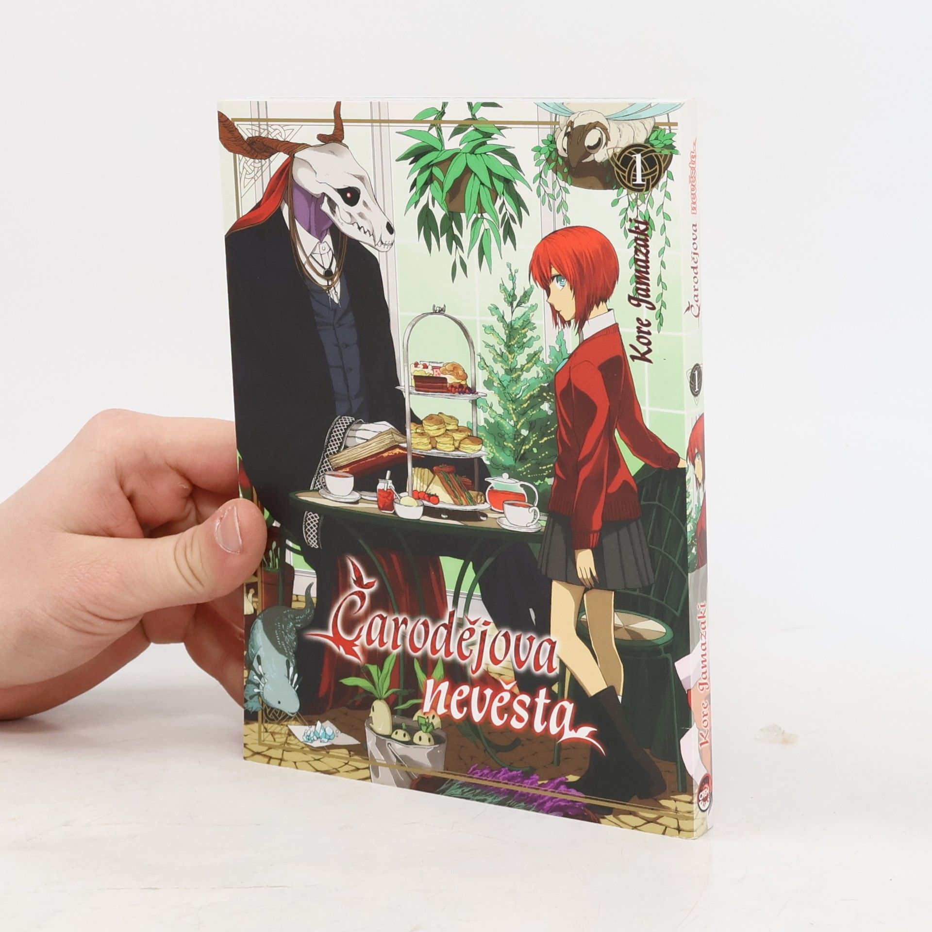 Kore Jamazaki Čarodějova nevěsta 1