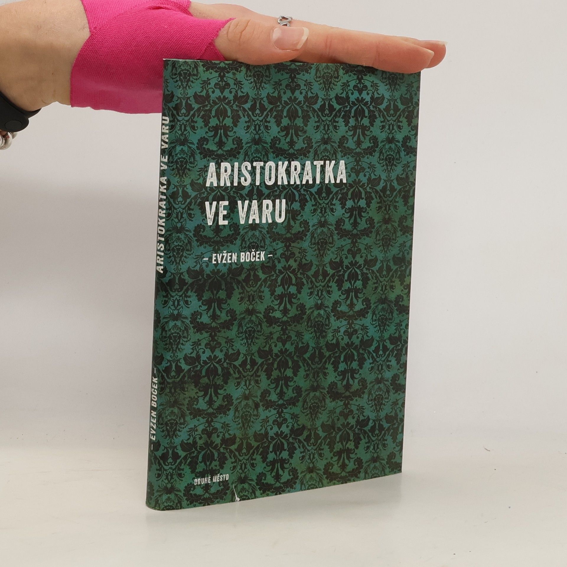 Evžen Boček Aristokratka ve varu