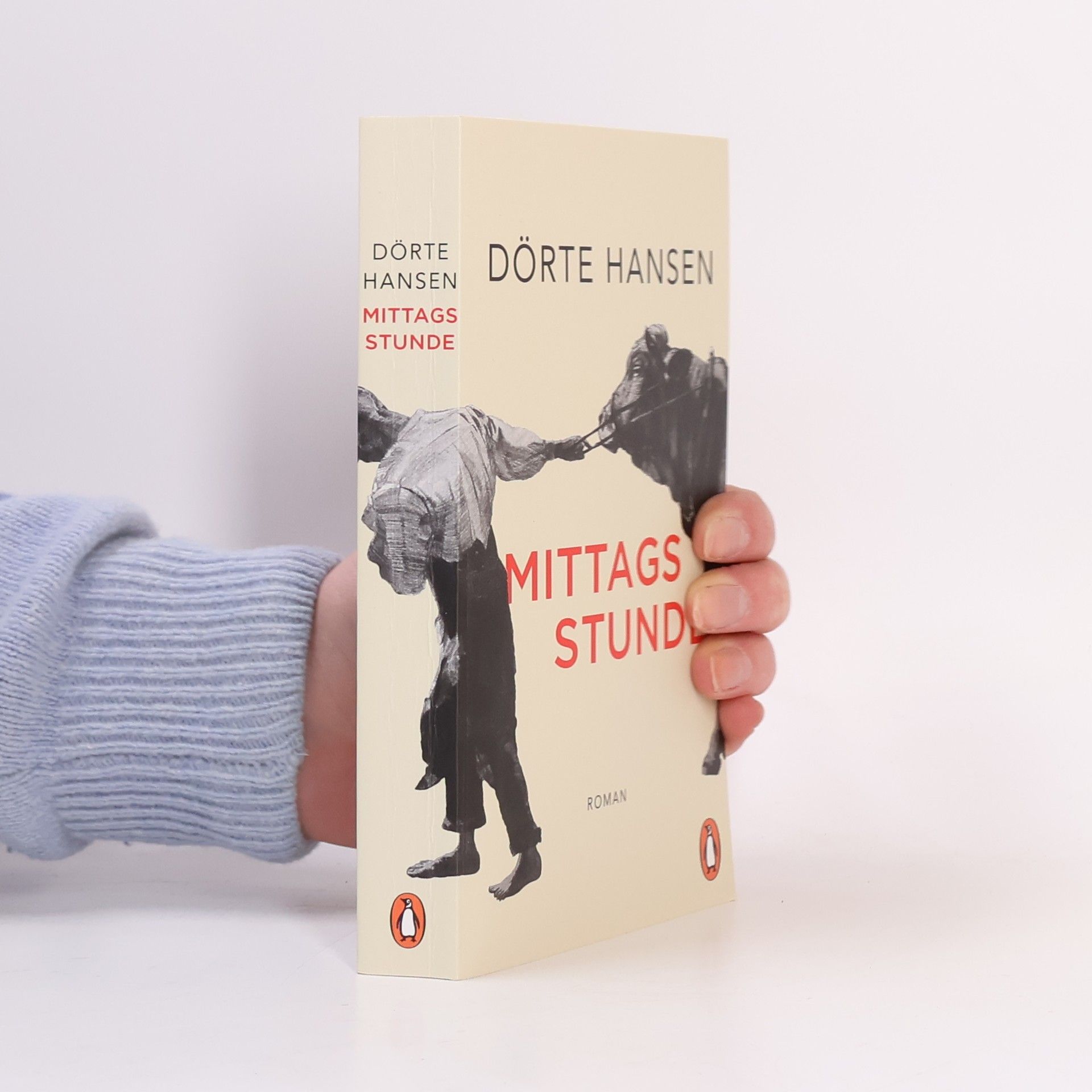 Dörte Hansen Mittagsstunde