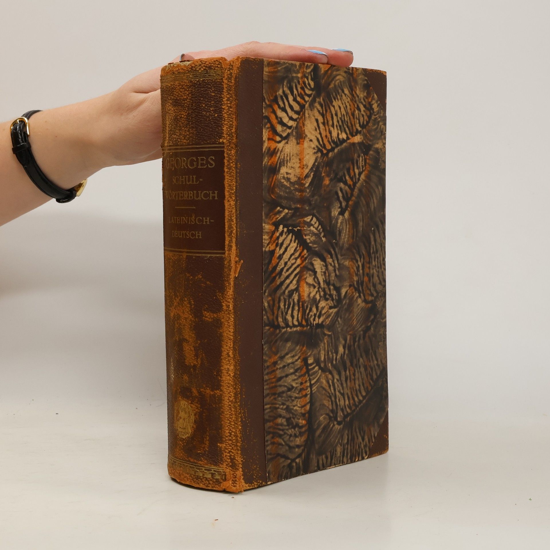 Lateinisch-deutsches und Deutsch-lateinisches Schulwörterbuch