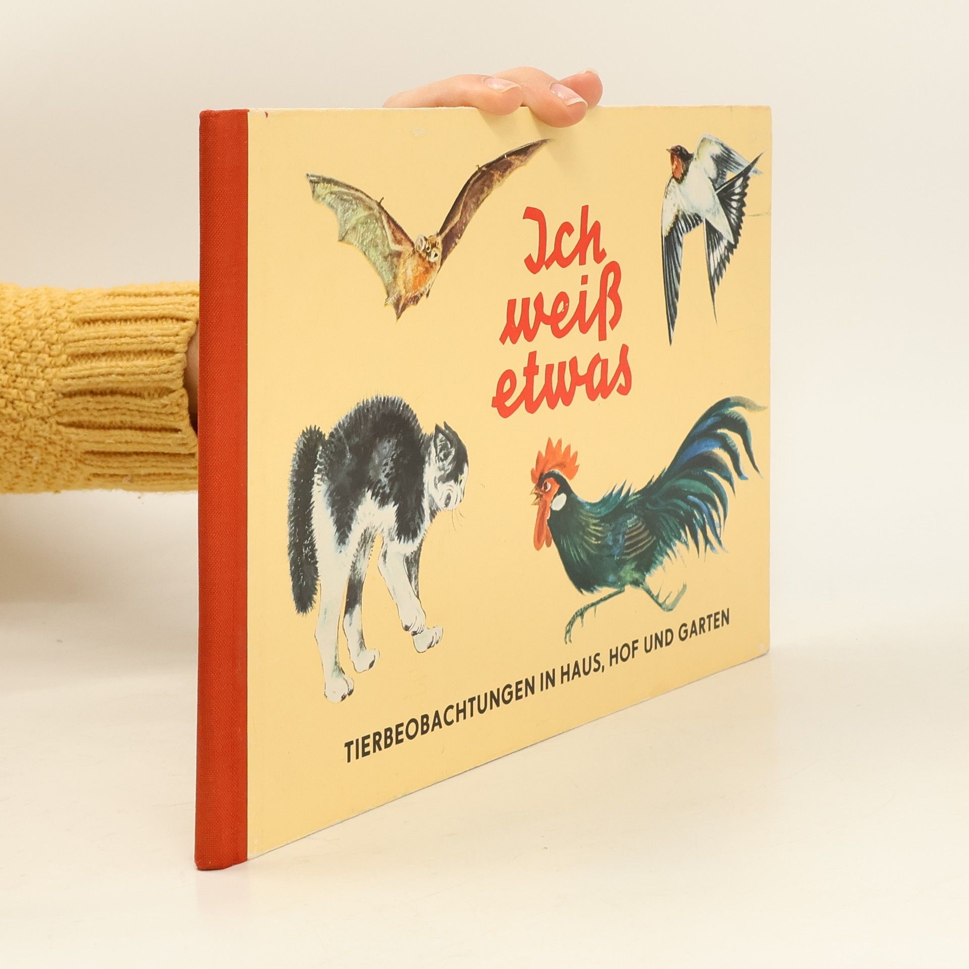 Kolektiv autorů Ich weiß etwas