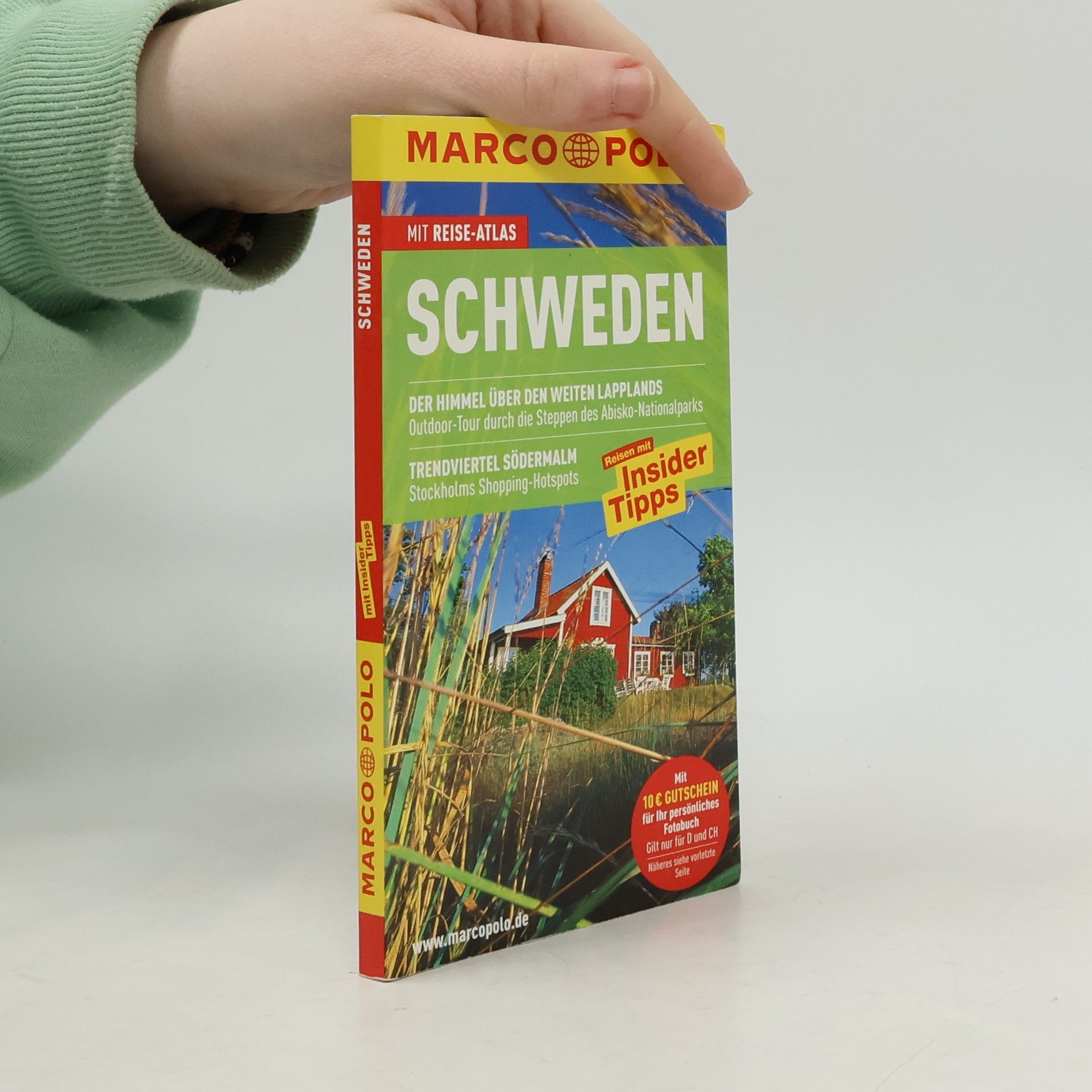 Bruno Kaufmann Schweden