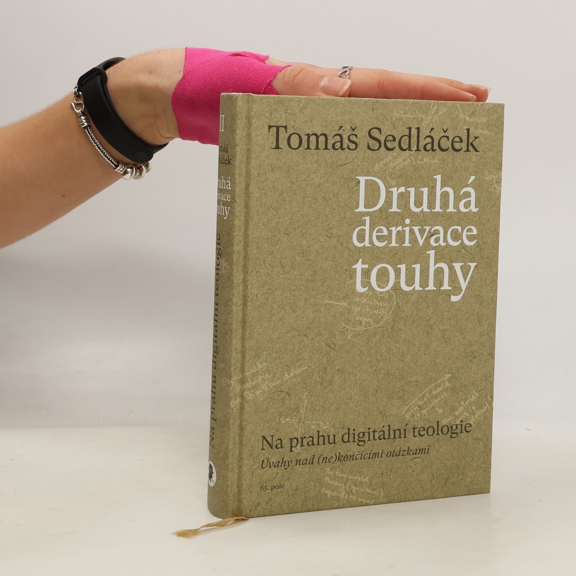 Druhá derivace touhy. Na prahu digitální teologie : úvahy nad (ne)končícími otázkami