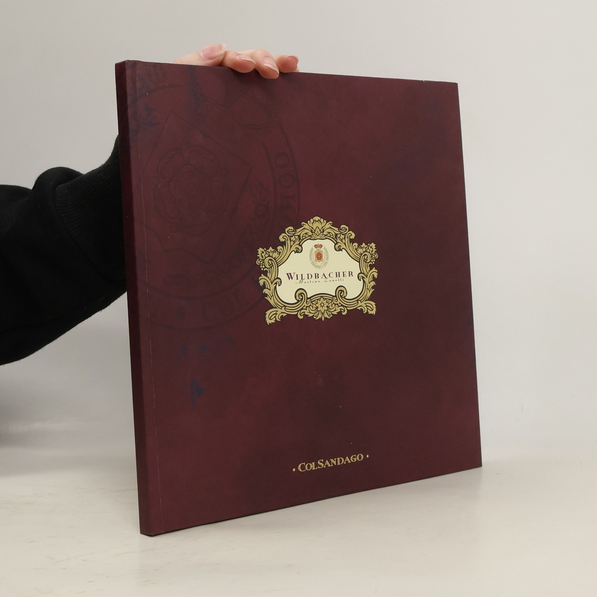 Martino Zanelli Wildbacher