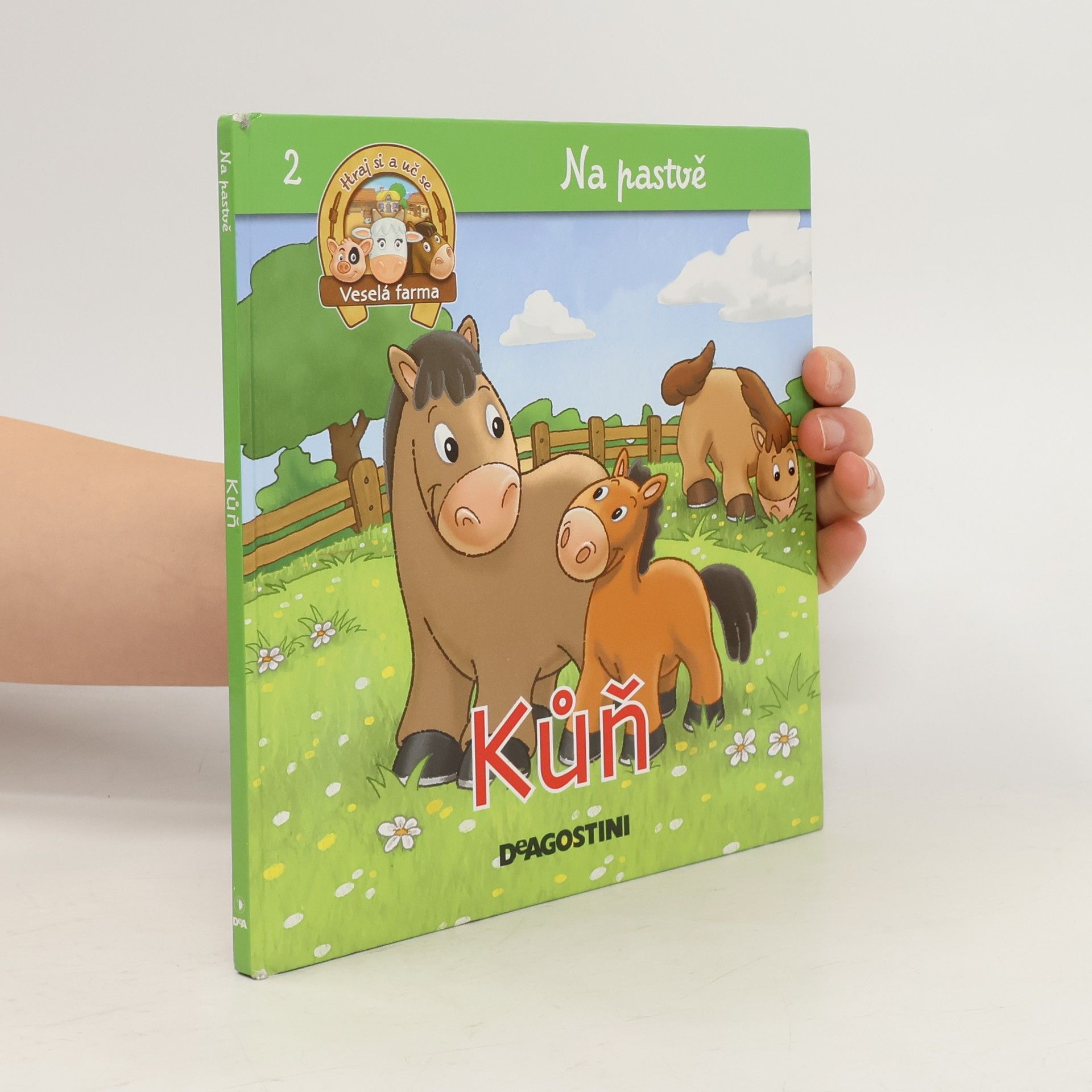 Kůň, klisna a hříbě