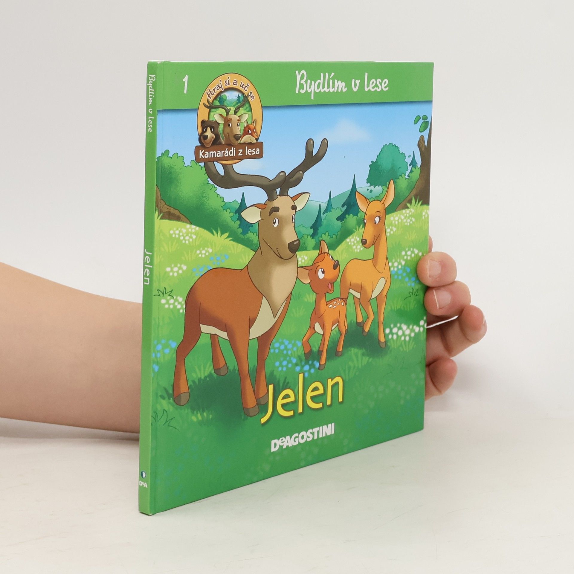 Autorenkollektiv Bydlím v lese. Jelen