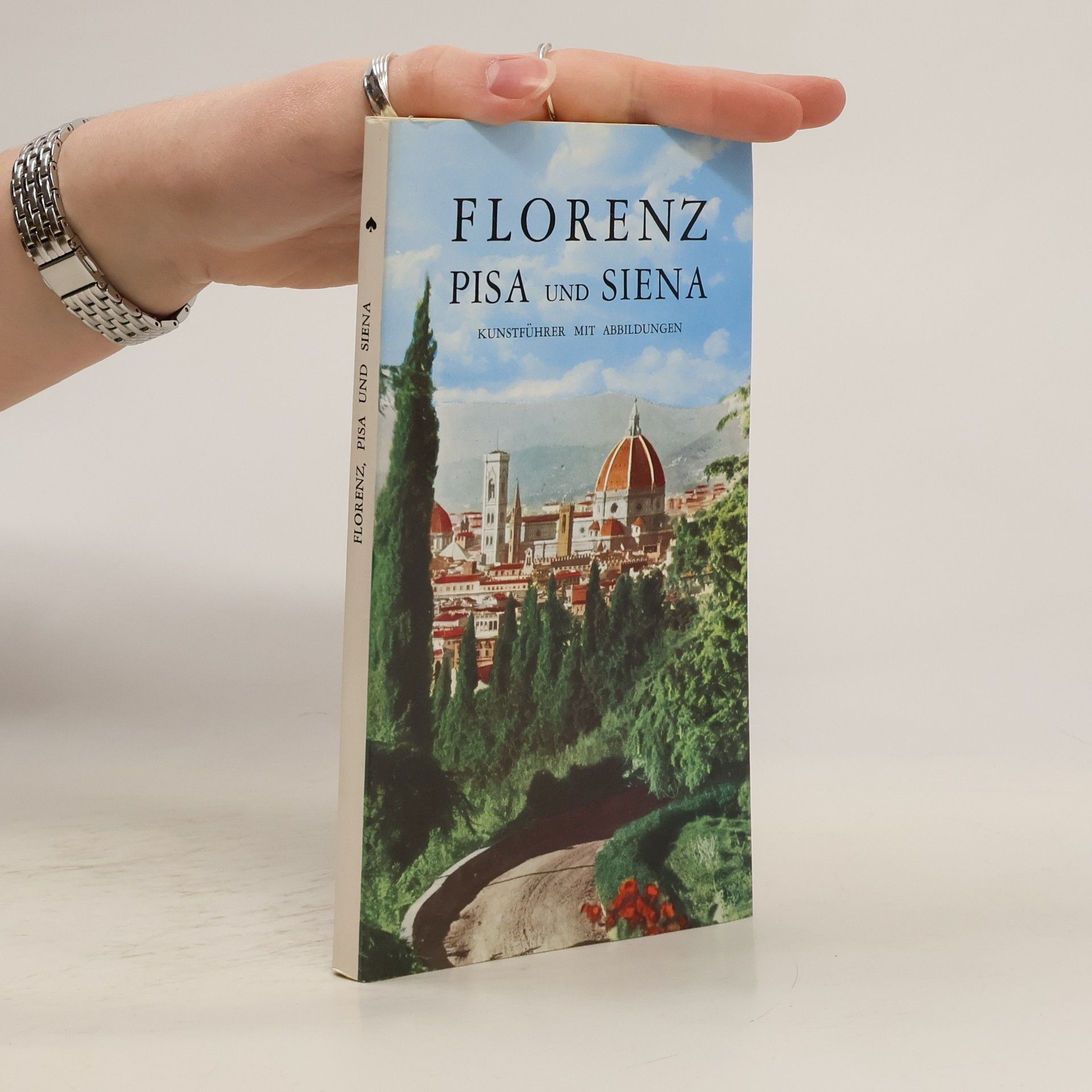 Autores varios Florenz. Pisa und Siena