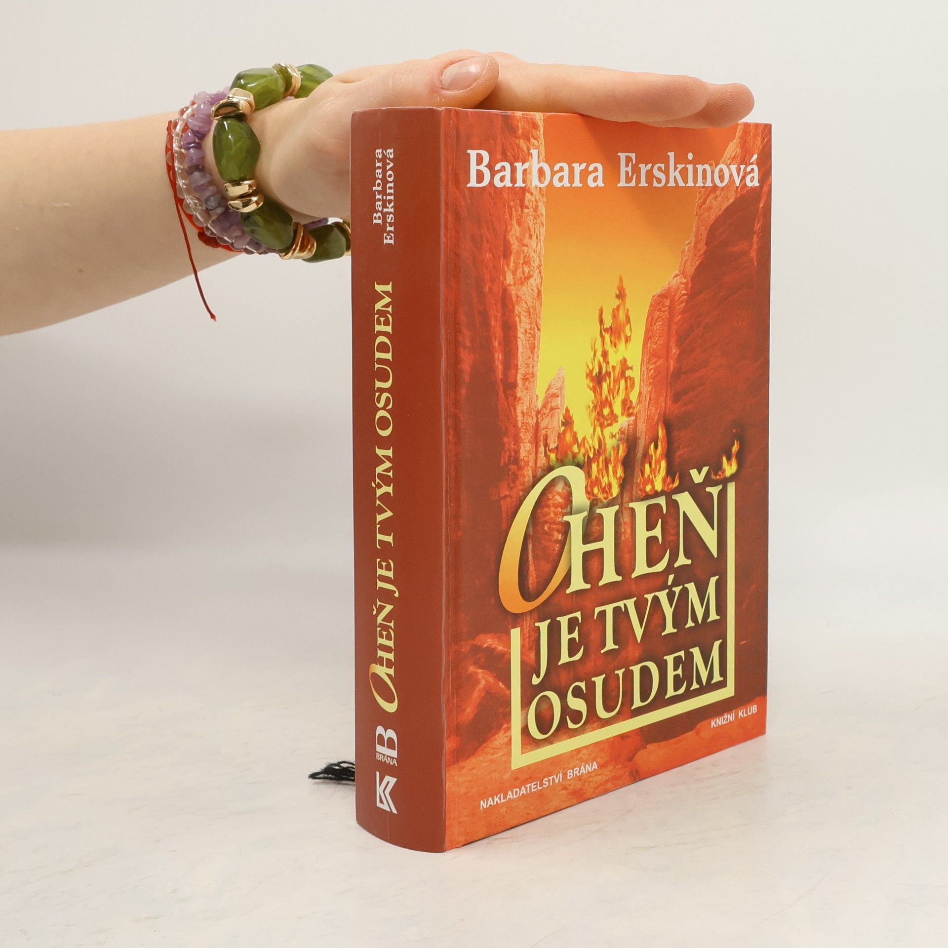 Barbara Erskine Oheň je tvým osudem