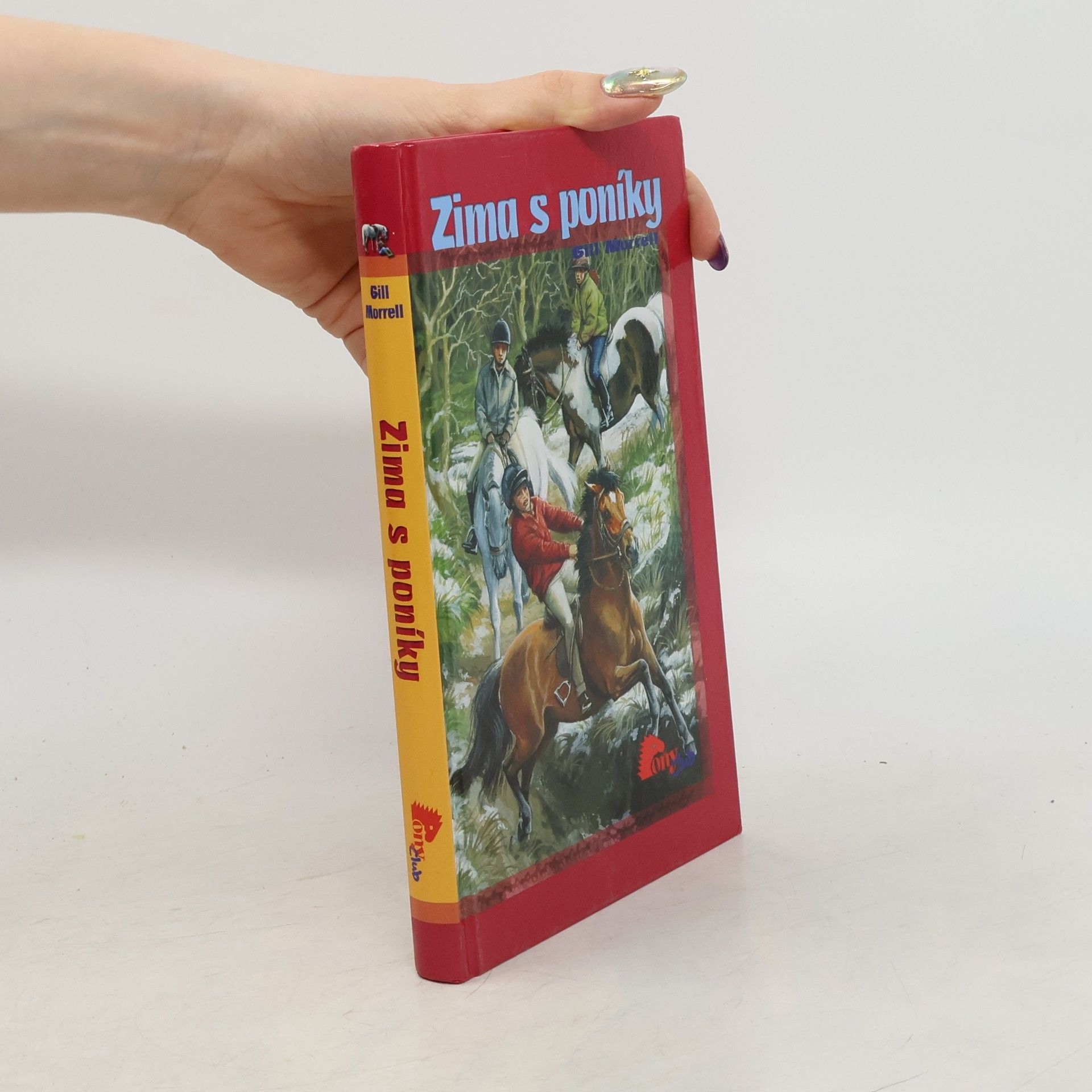 Gill Morrell Zima s poníky
