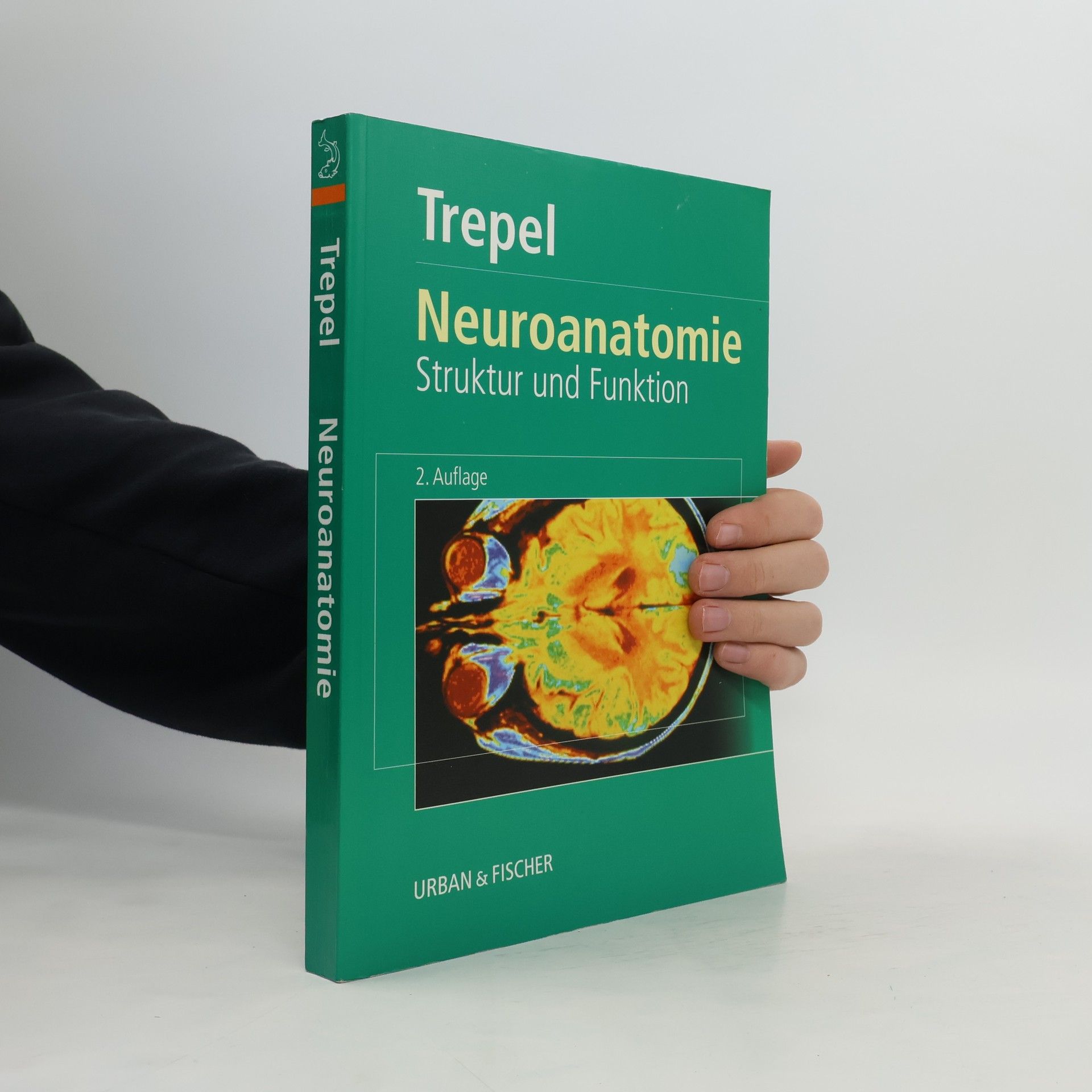 Neuroanatomie