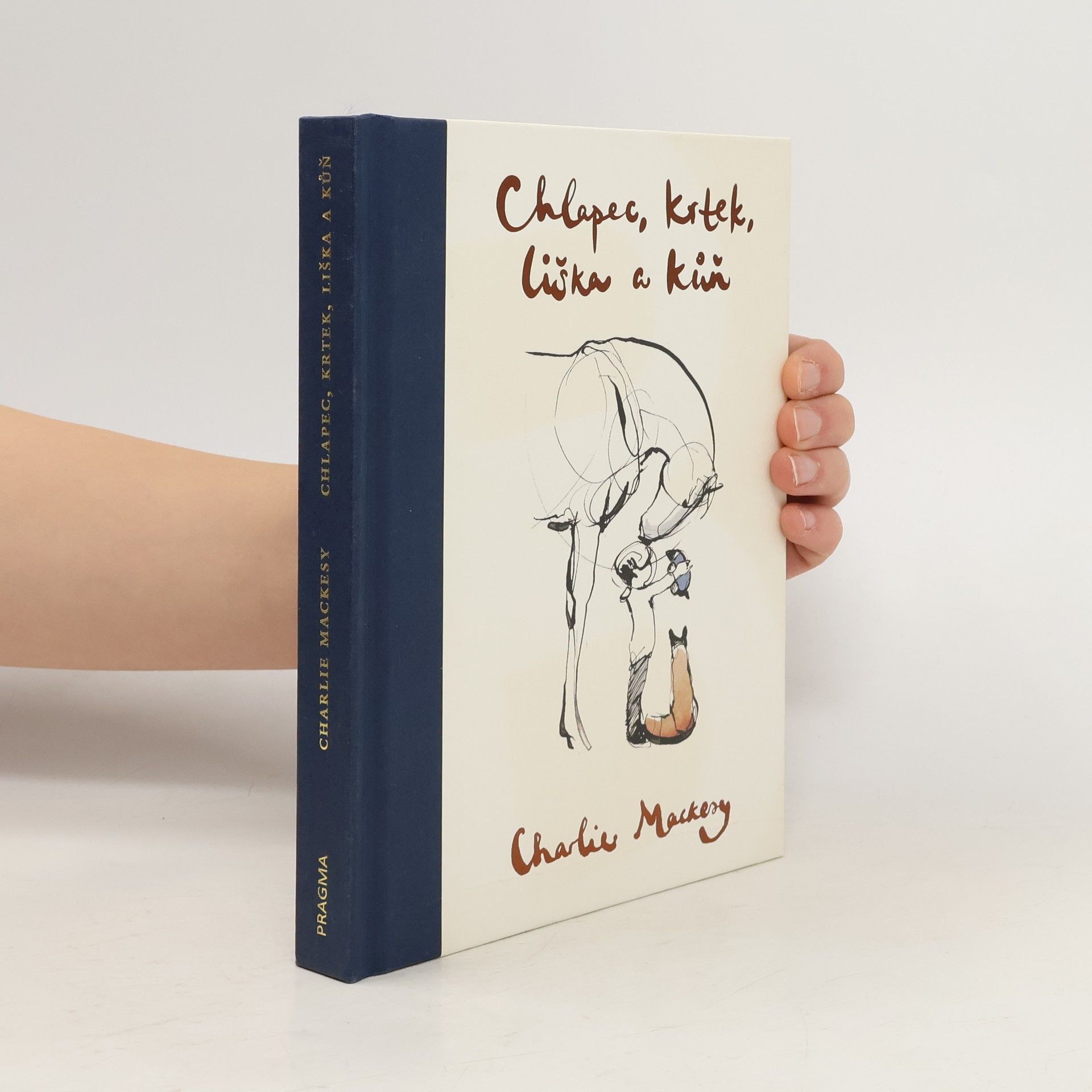 Chlapec, krtek, liška a kůň