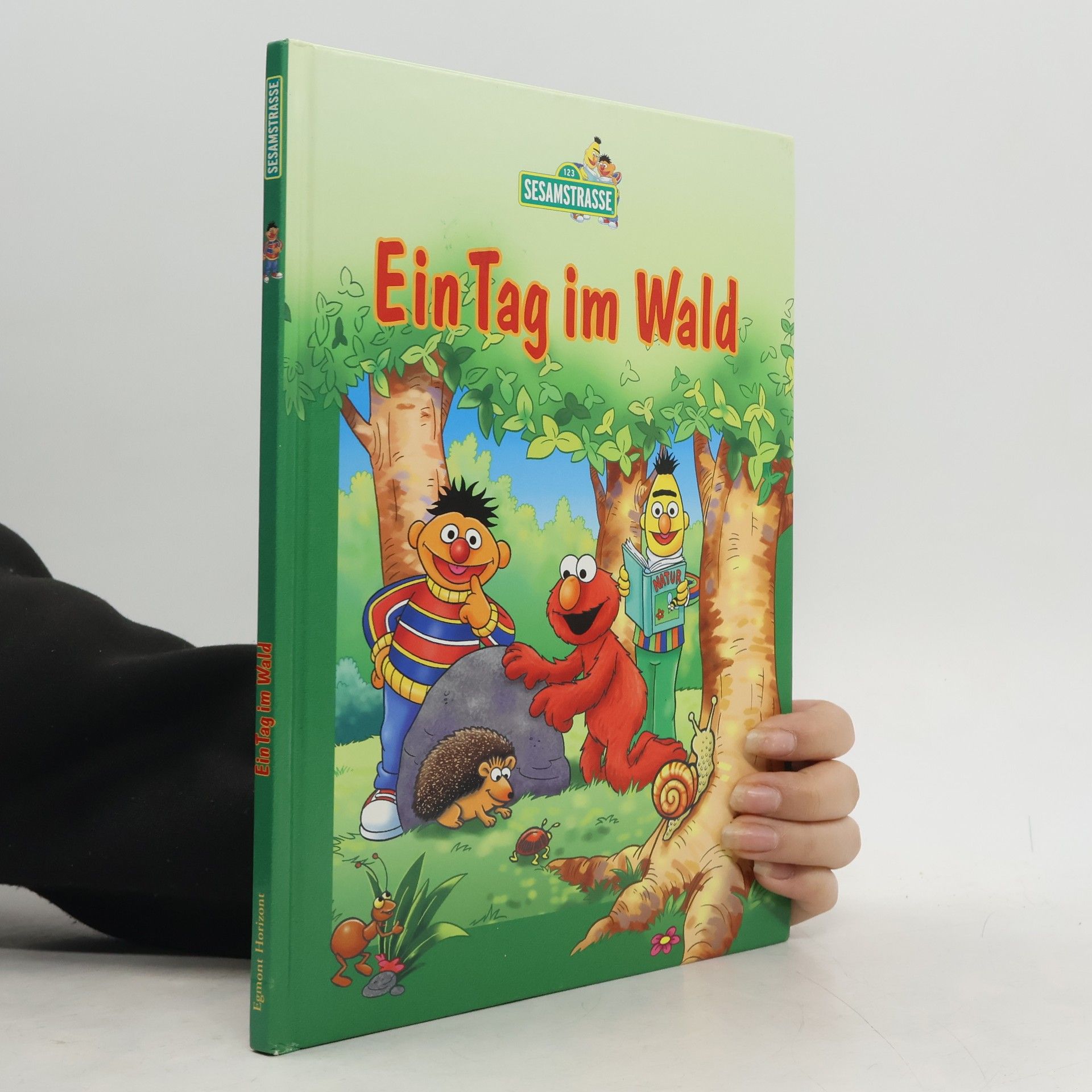 Autorenkollektiv Ein Tag im Wald