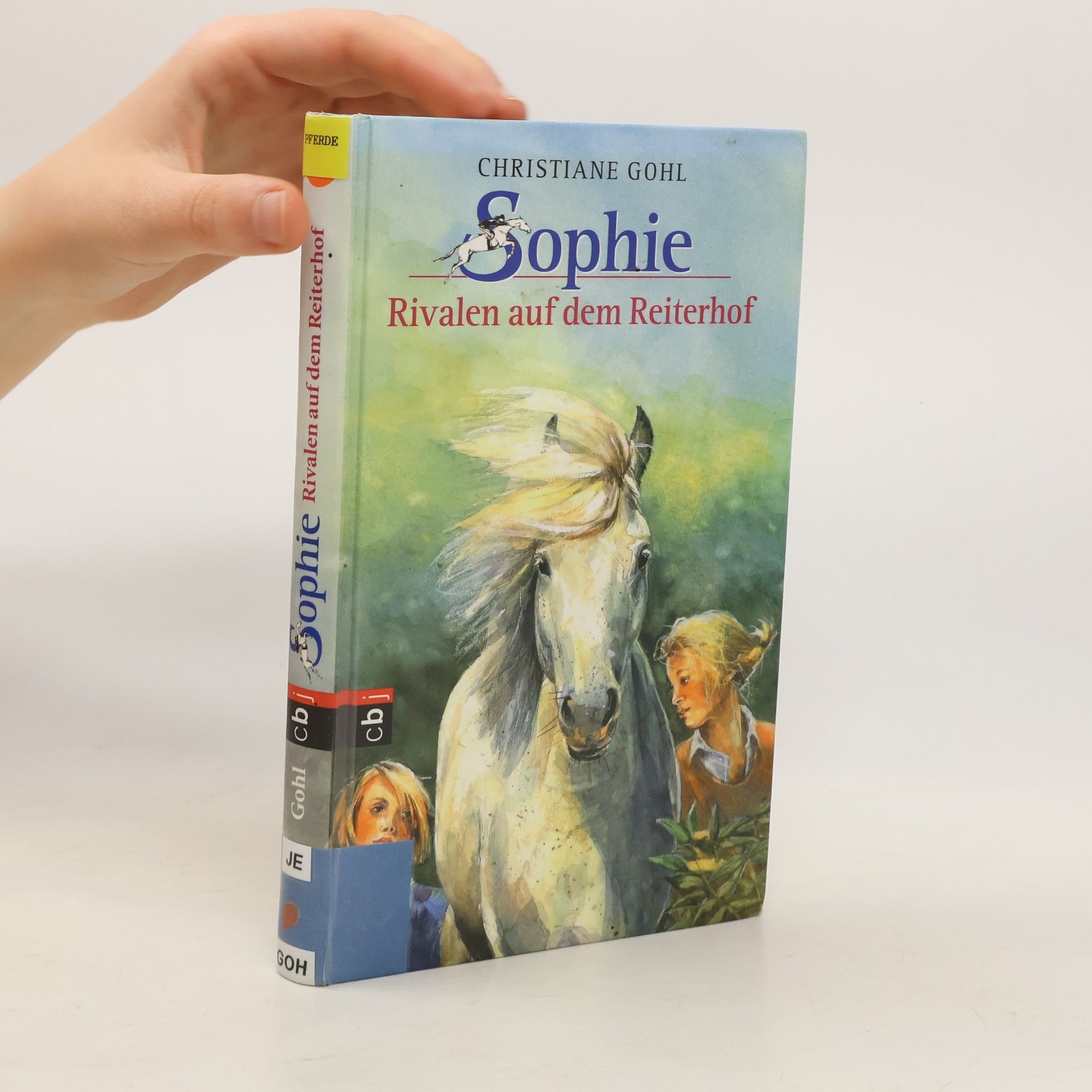 Christiane Gohl Sophie - Rivalen auf dem Reiterhof