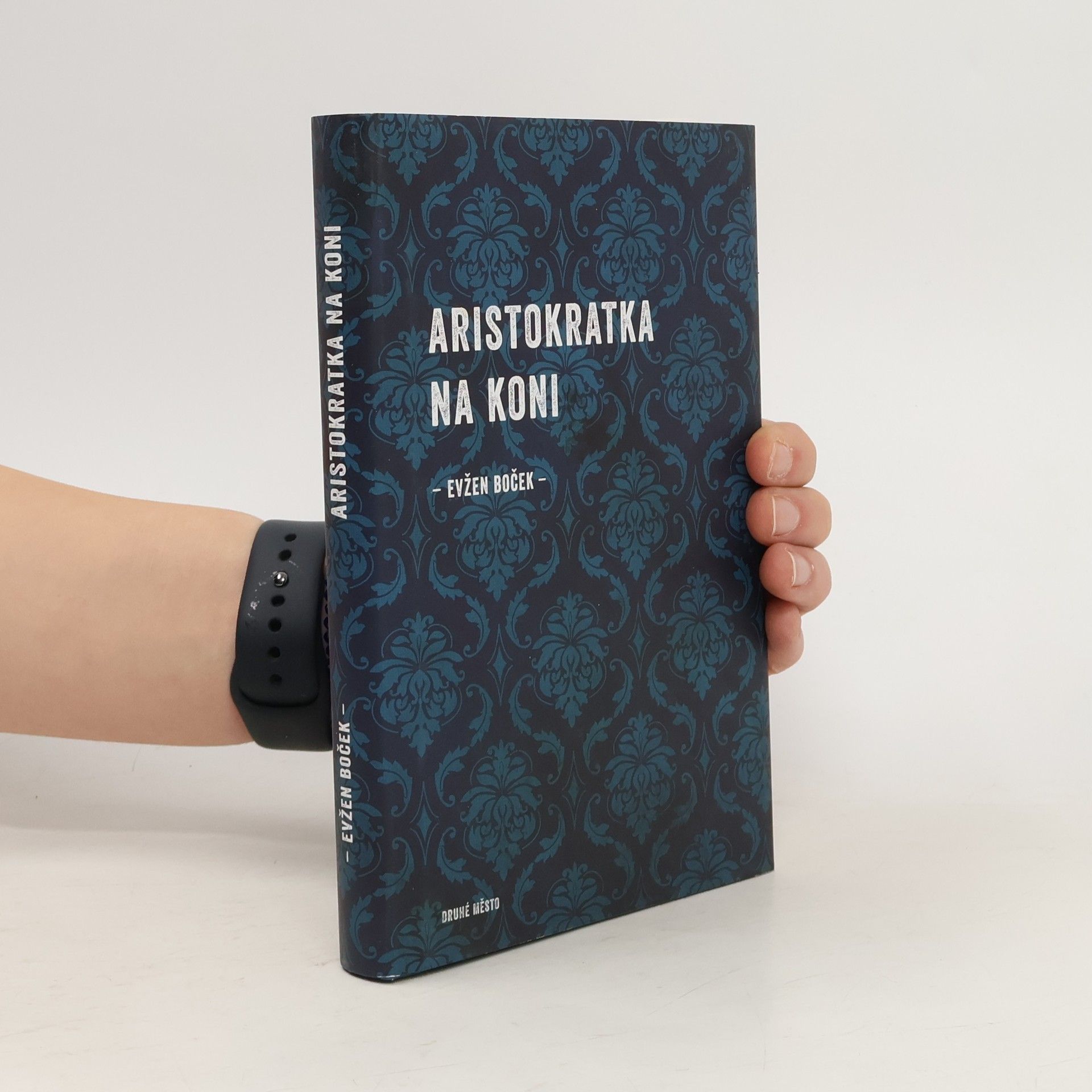 Aristokratka na koni