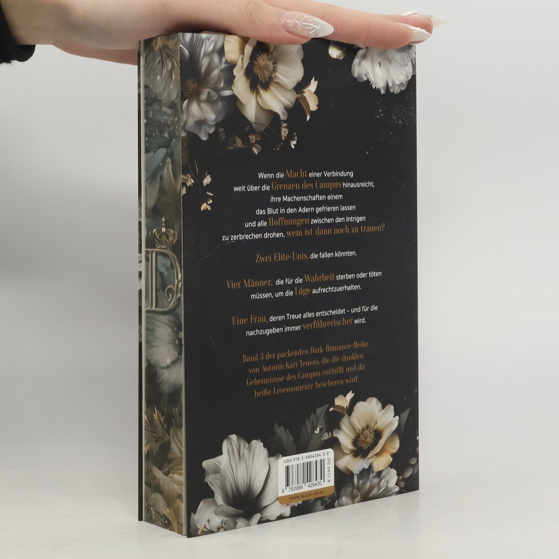 Kari Tenero Drewmore Dynasty 3. Unravelling the Secrets