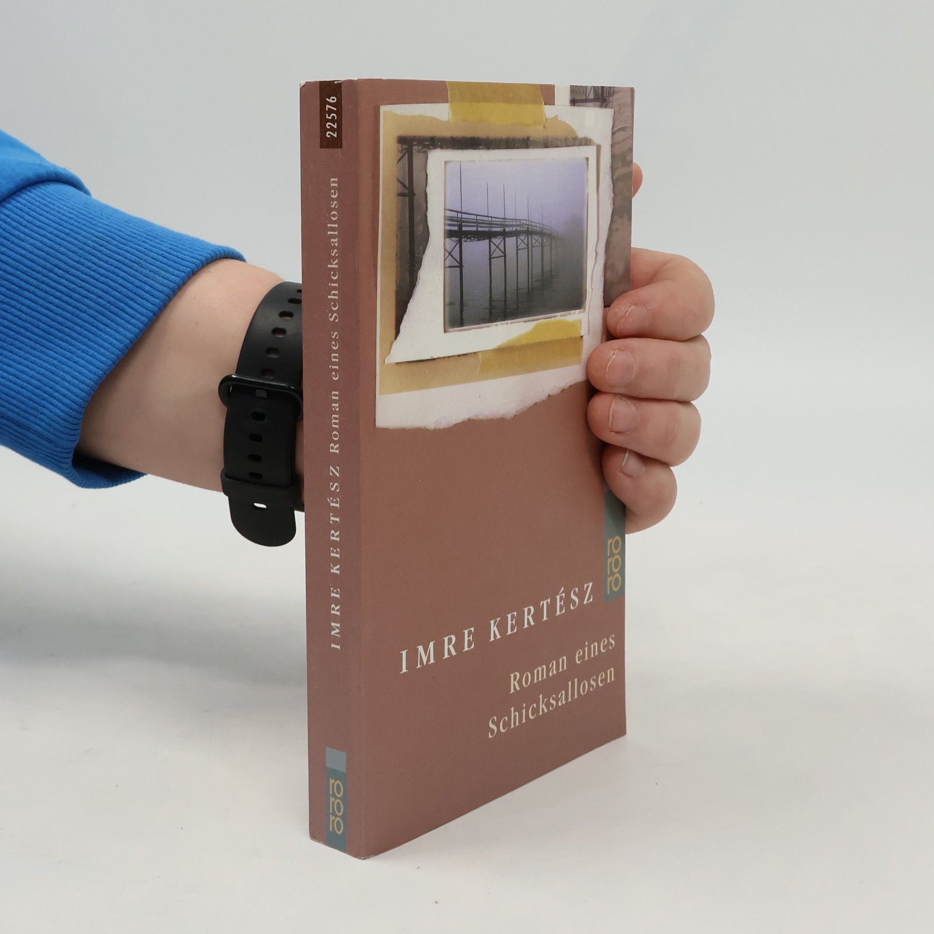 Roman eines Schicksallosen