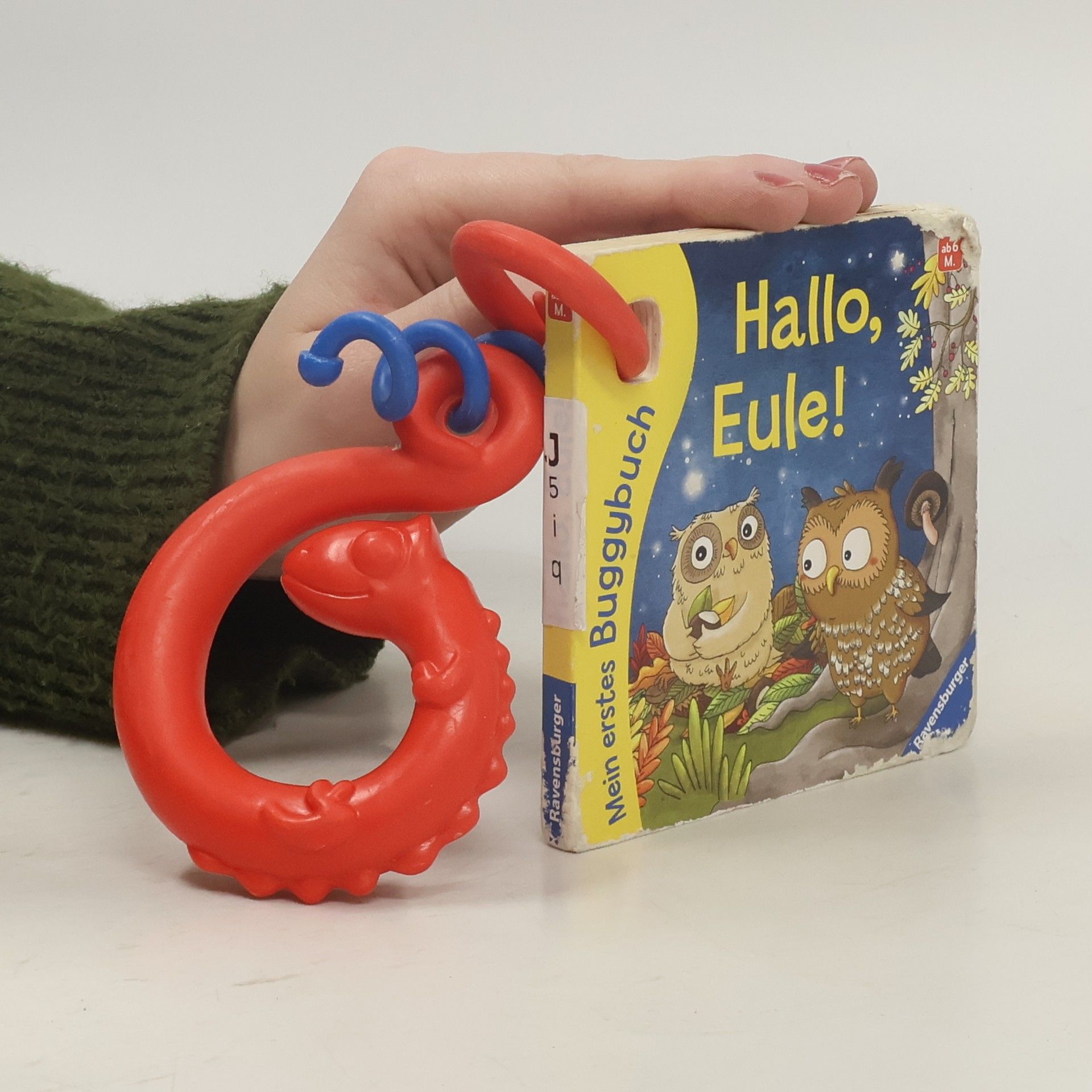 Klara Tünner Mein erstes Buggybuch: Hallo, Eule!