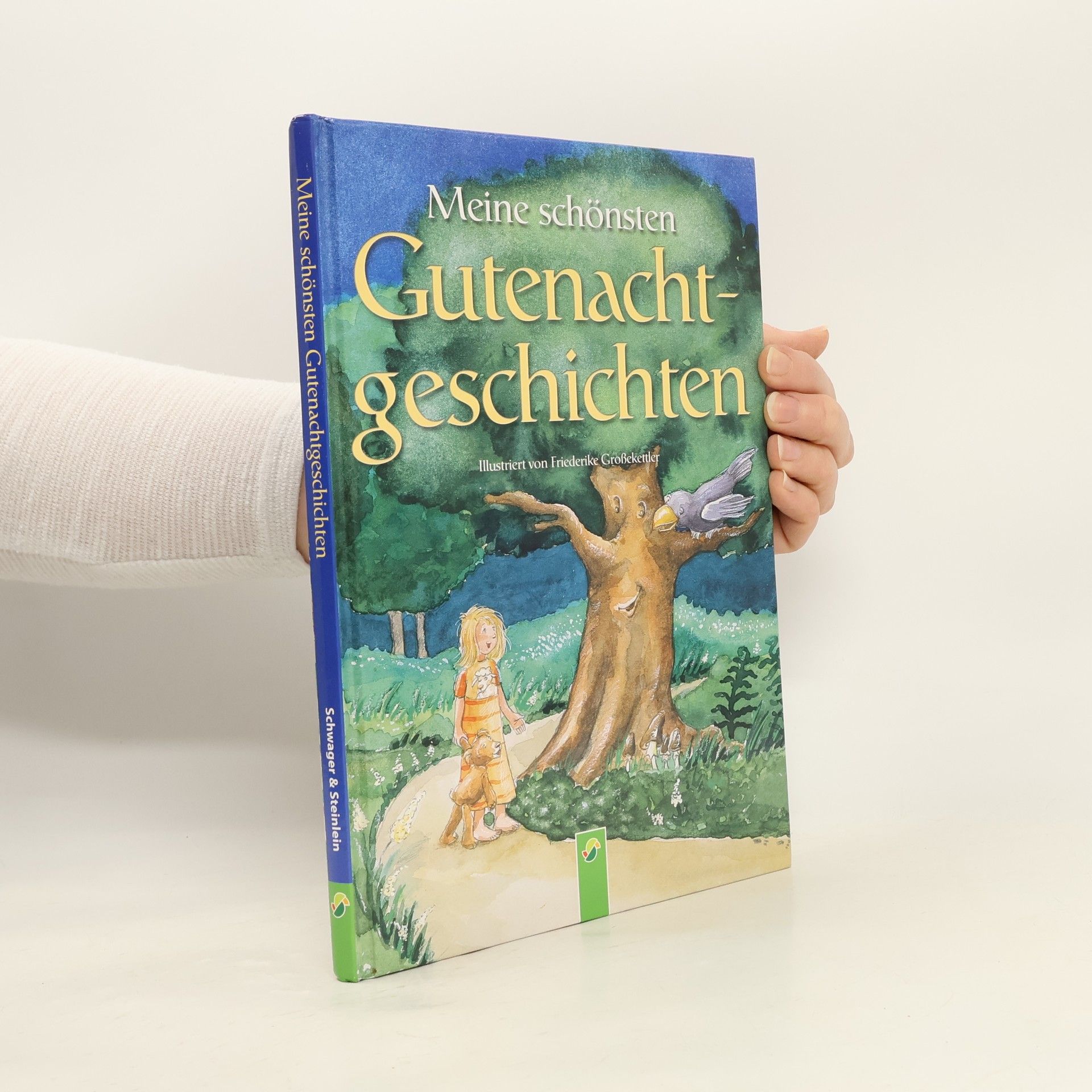 Autorenkollektiv Meine schönsten Gutenachtgeschichten