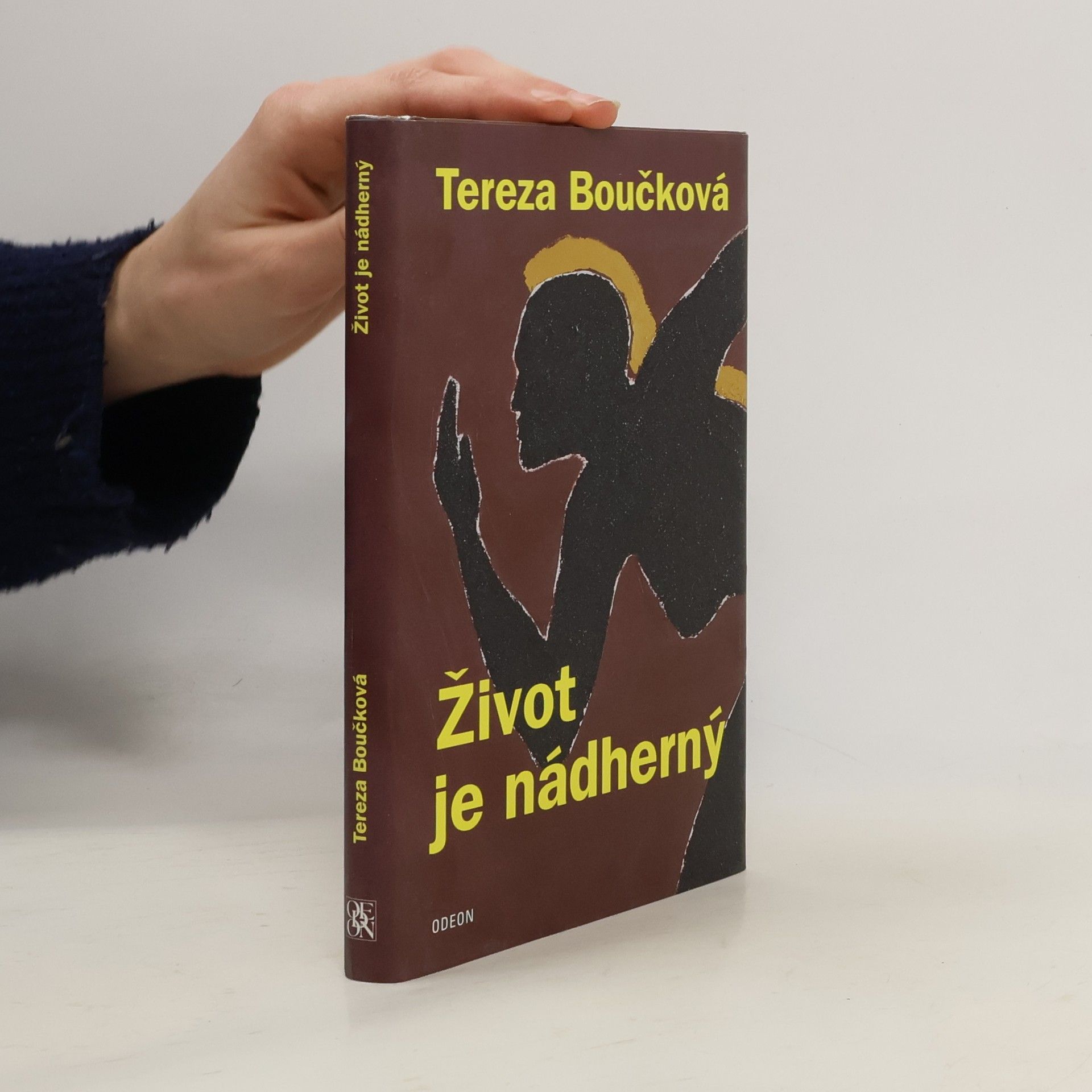 Život je nádherný