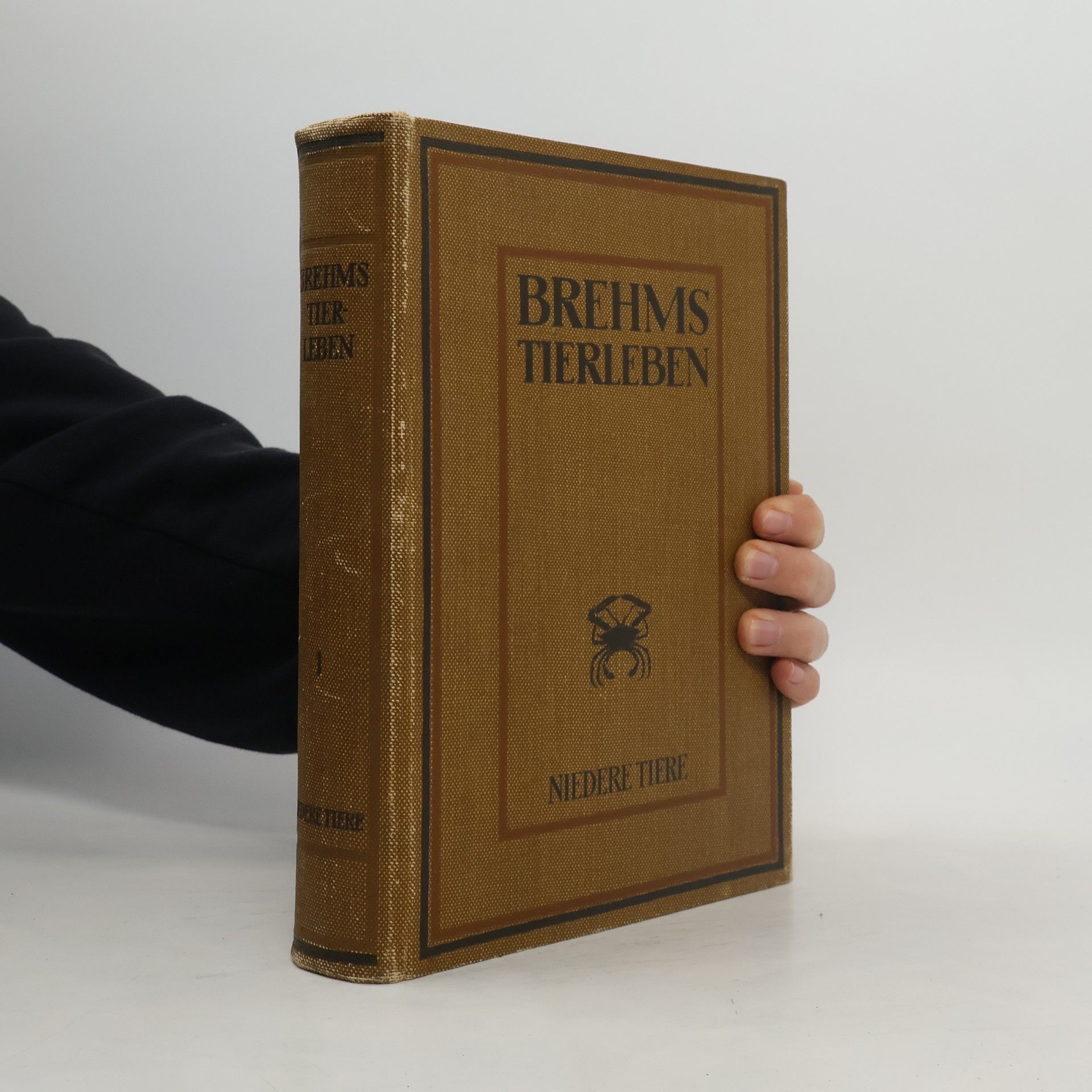 Auteurscollectief Brehms Tierleben. Die niederen Tiere