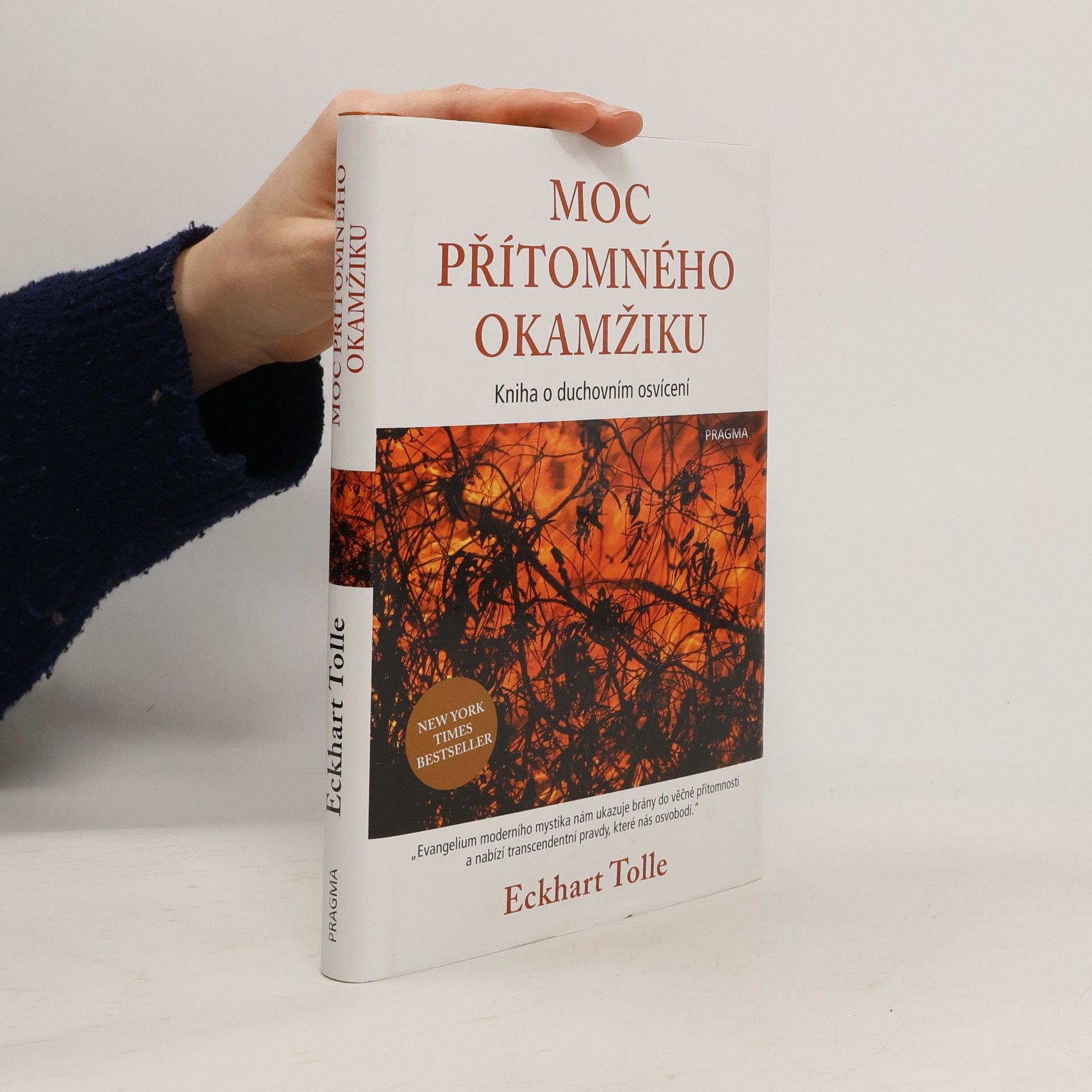 Eckhart Tolle Moc přítomného okamžiku