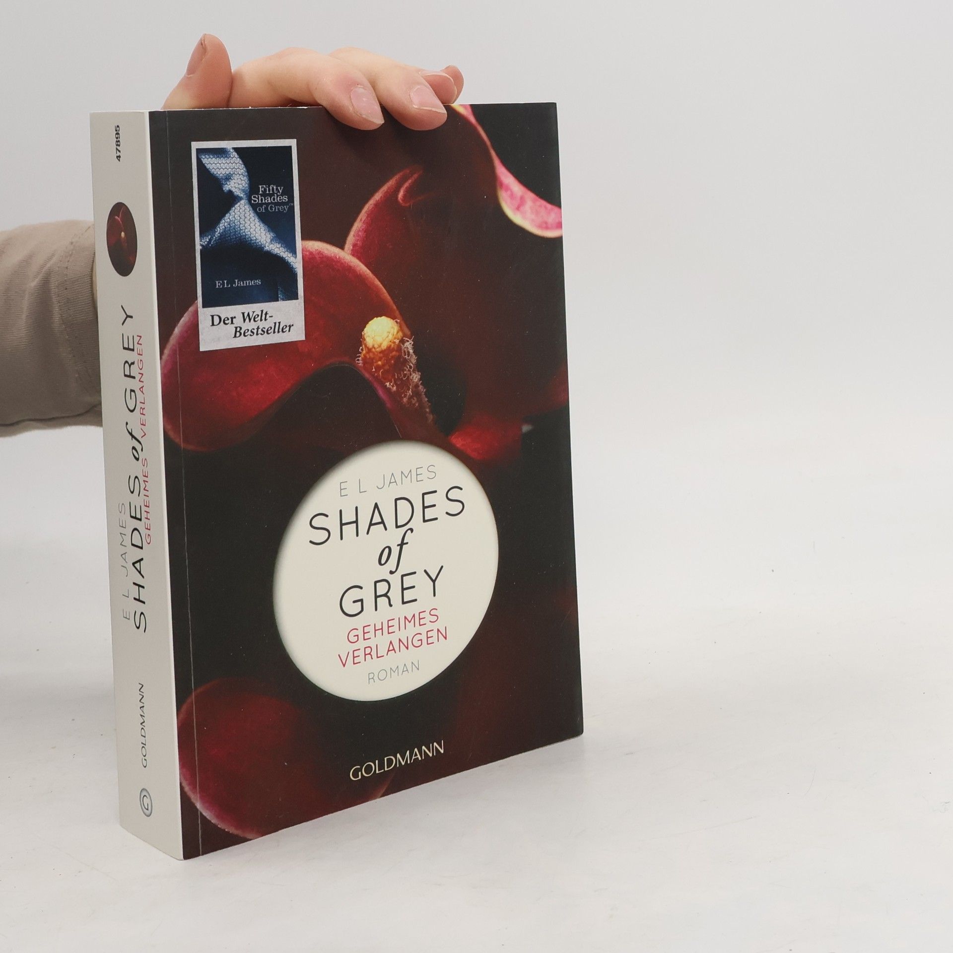 Shades of Grey. Geheimes Verlangen