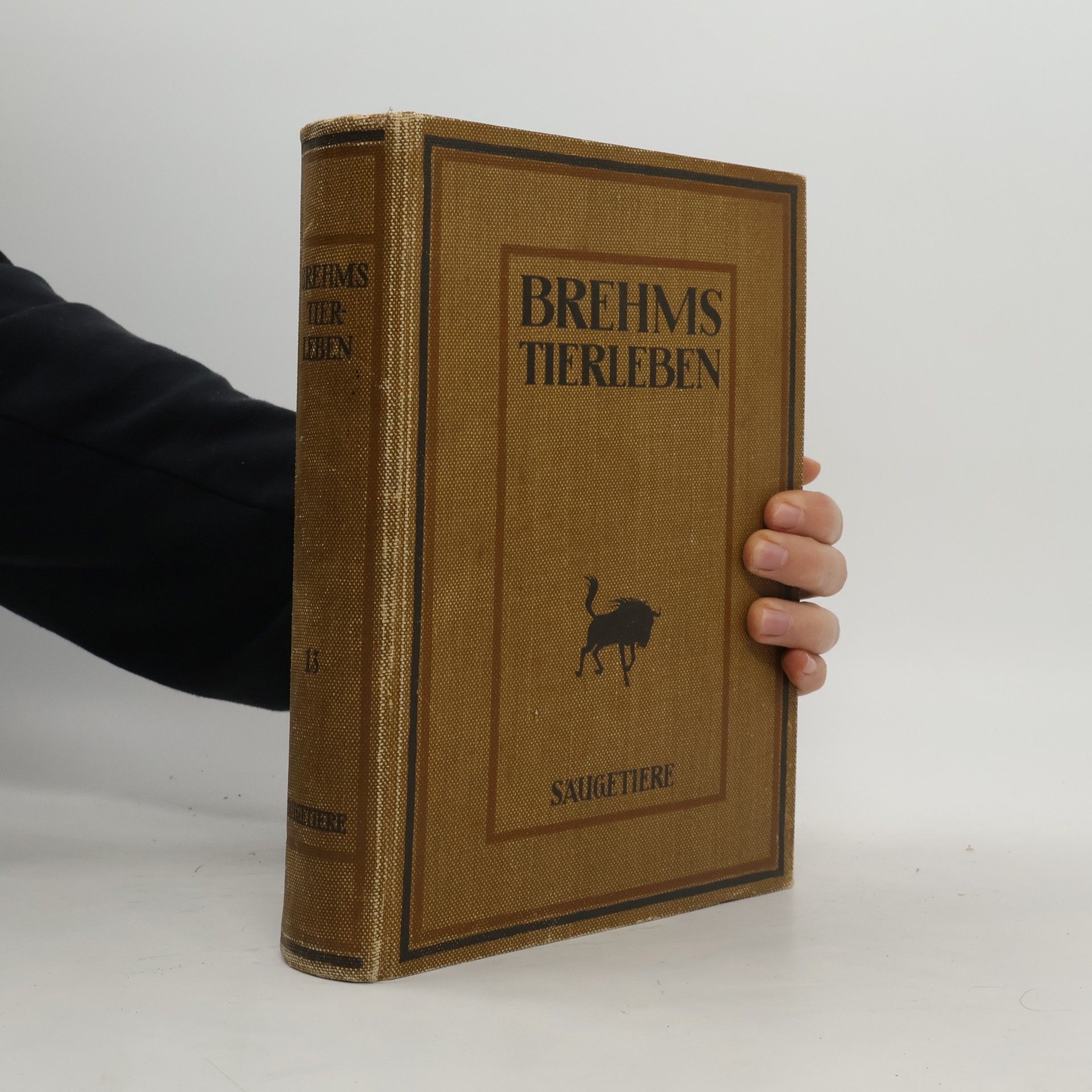 Autorenkollektiv Brehms Tierleben. Säugetiere